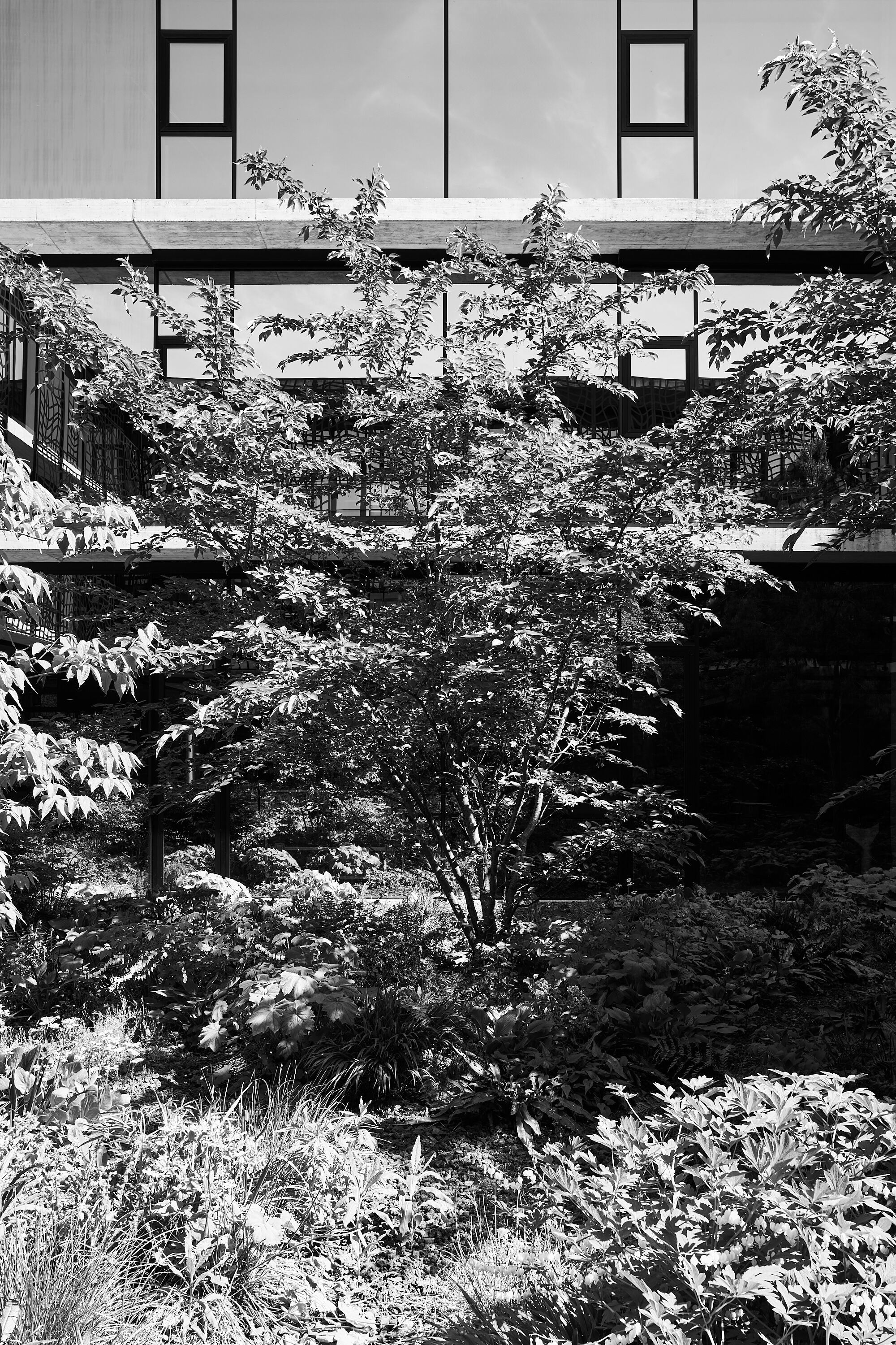 LEICA M11 Monochrom L1004089