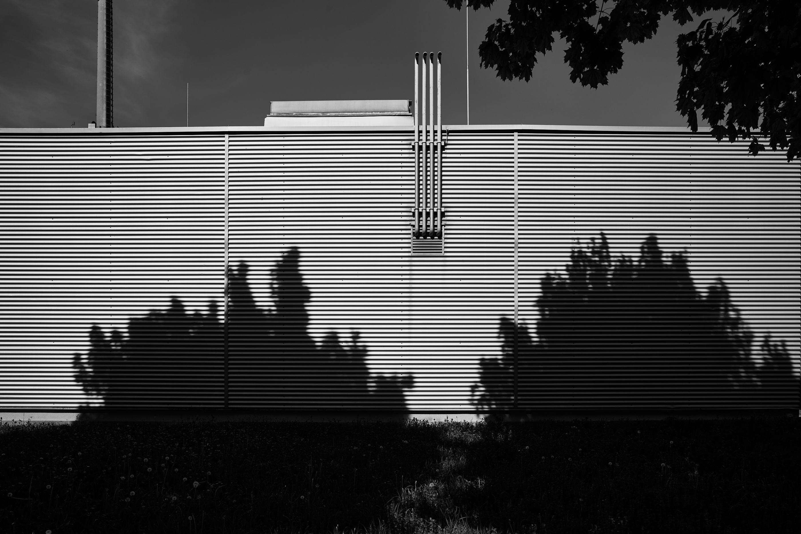 LEICA M11 Monochrom L1004092