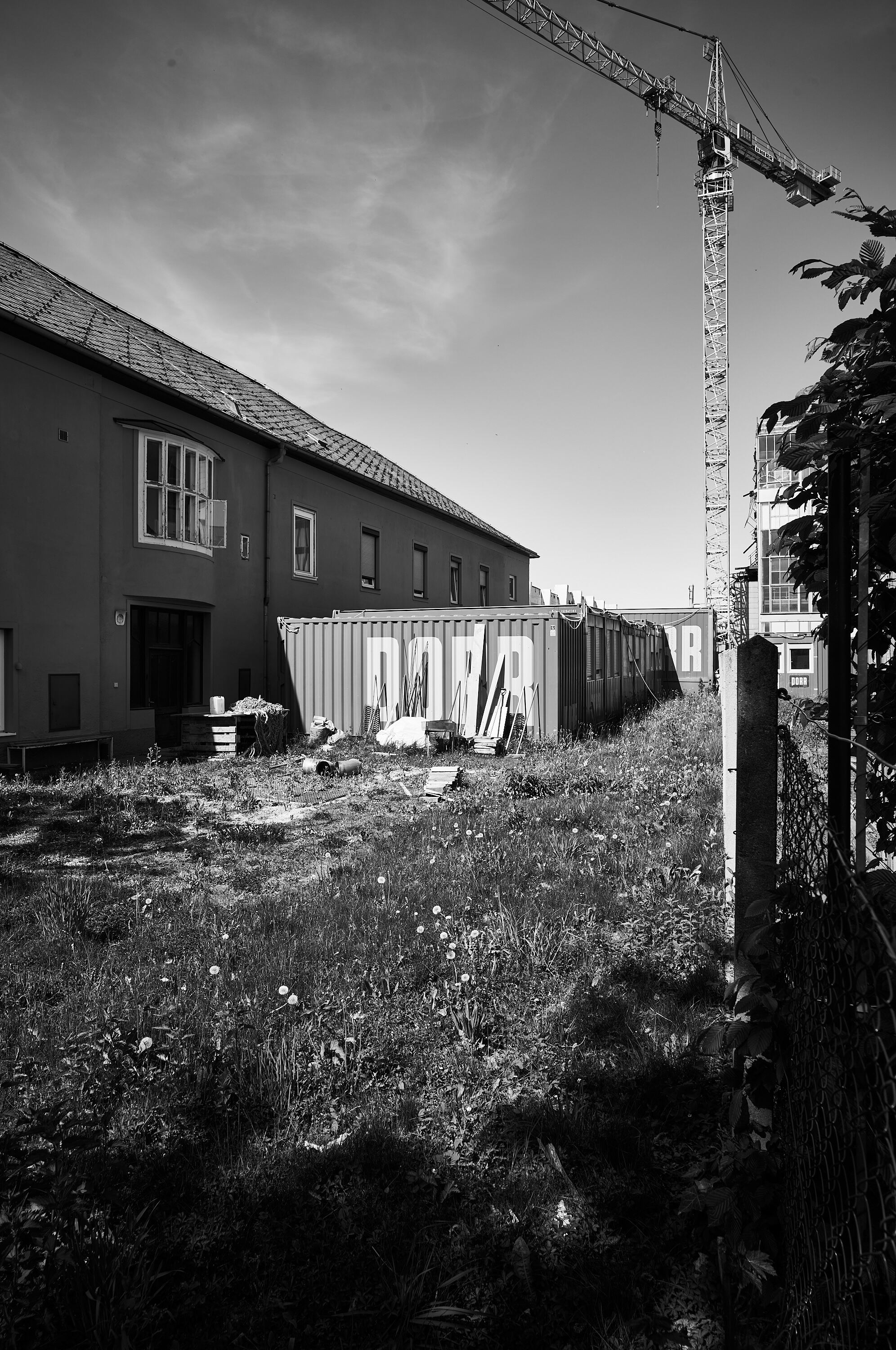 LEICA M11 Monochrom L1004096