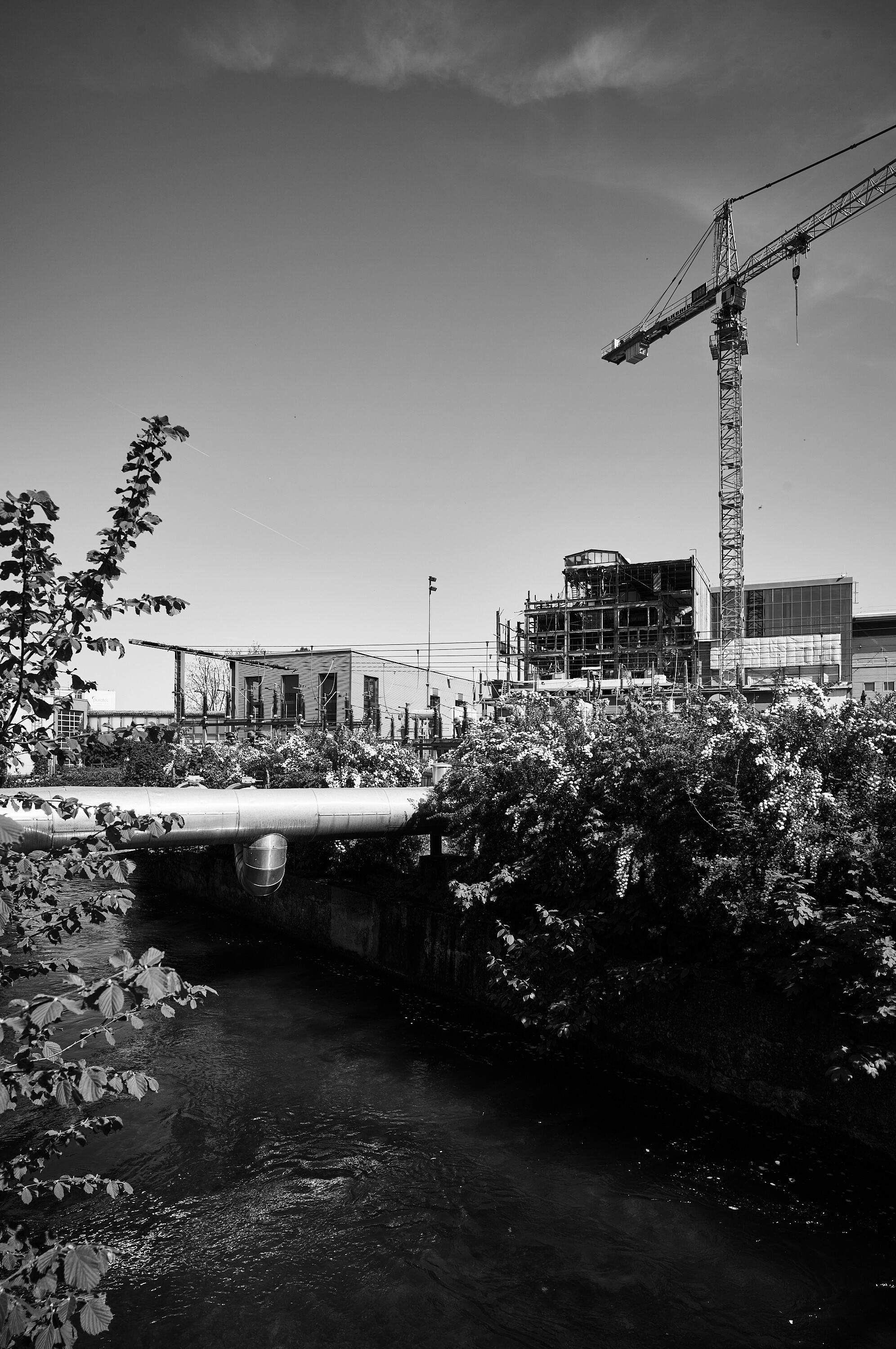 LEICA M11 Monochrom L1004104
