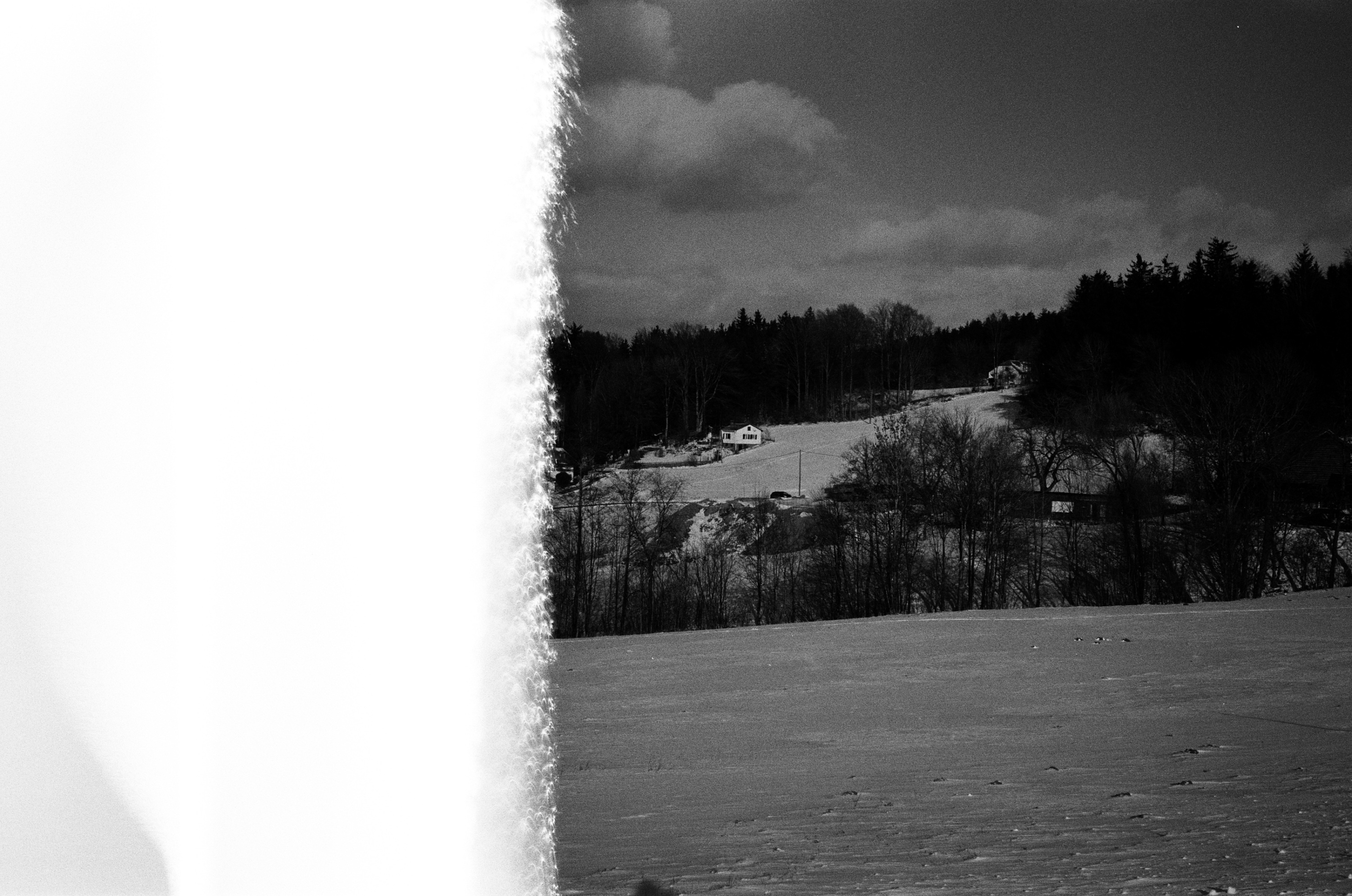 LEICA MP 517901010001