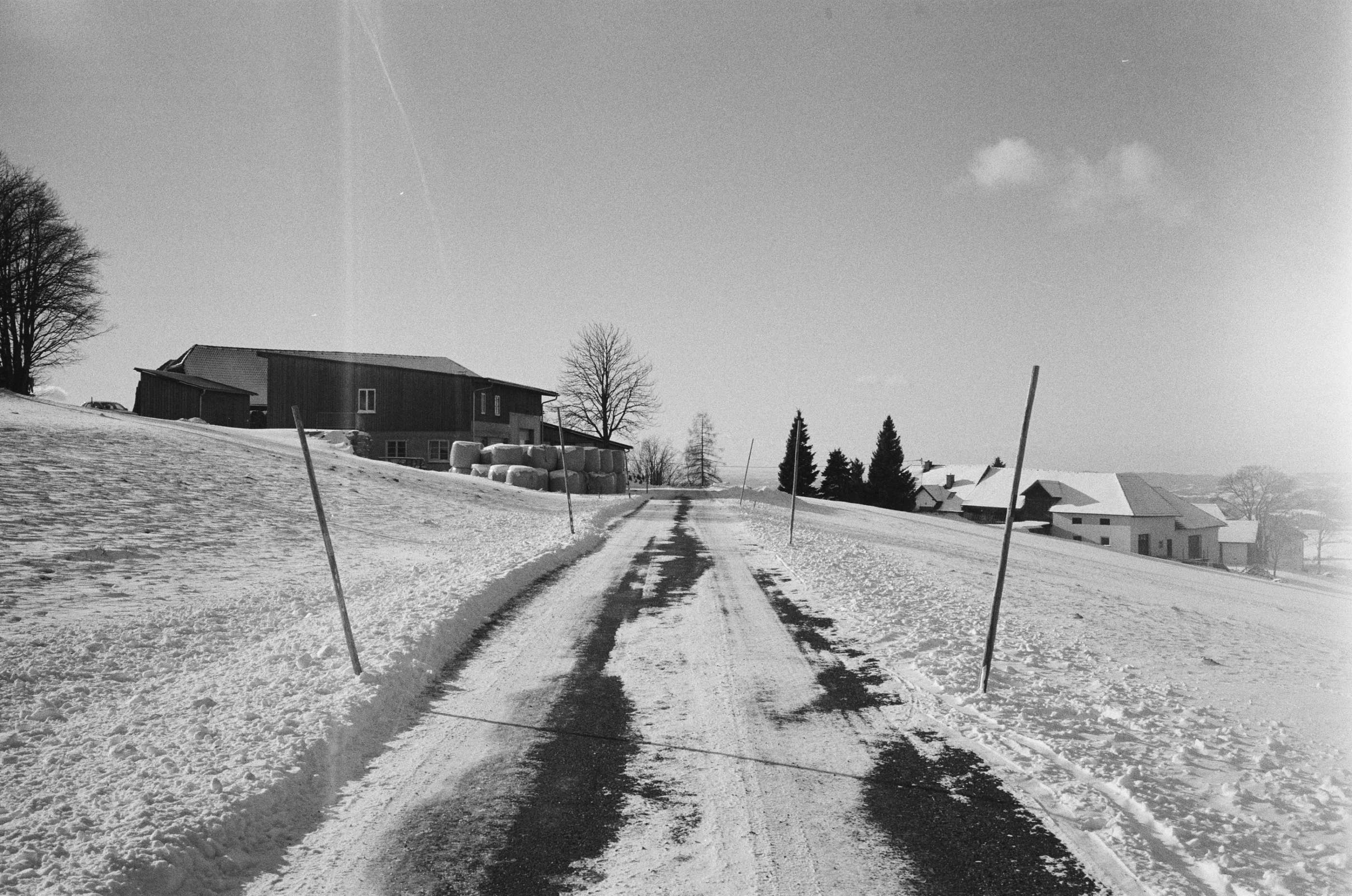 LEICA MP 517901010002