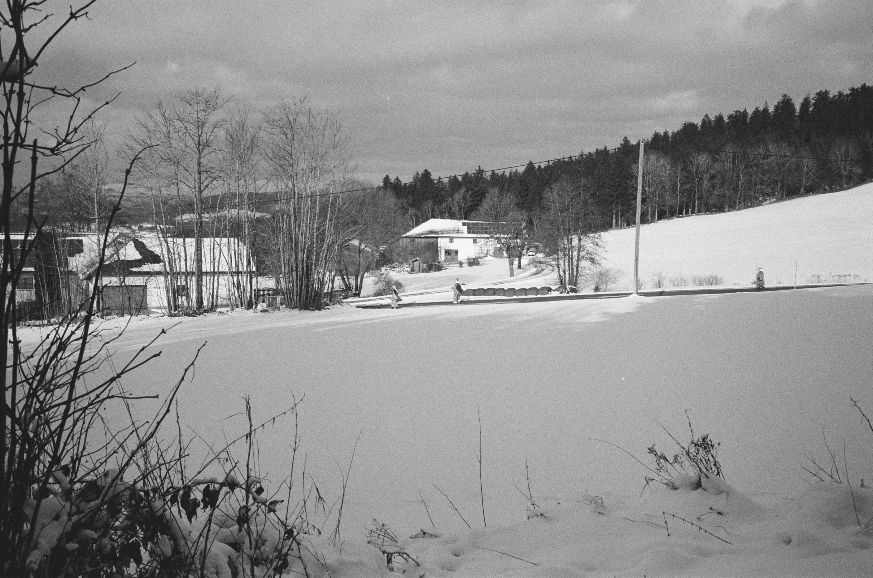 LEICA MP 517901010007