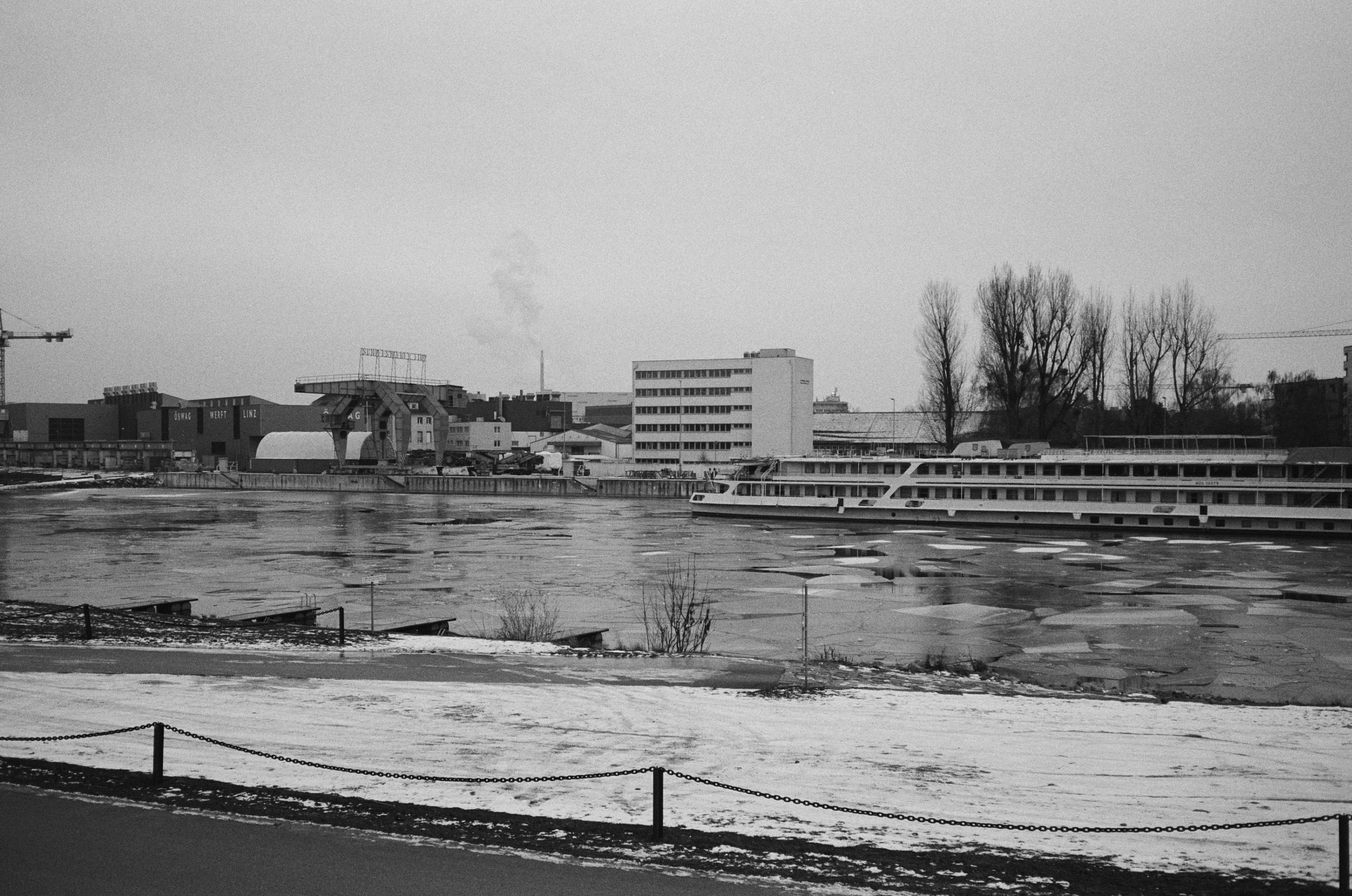 LEICA MP 517901010011