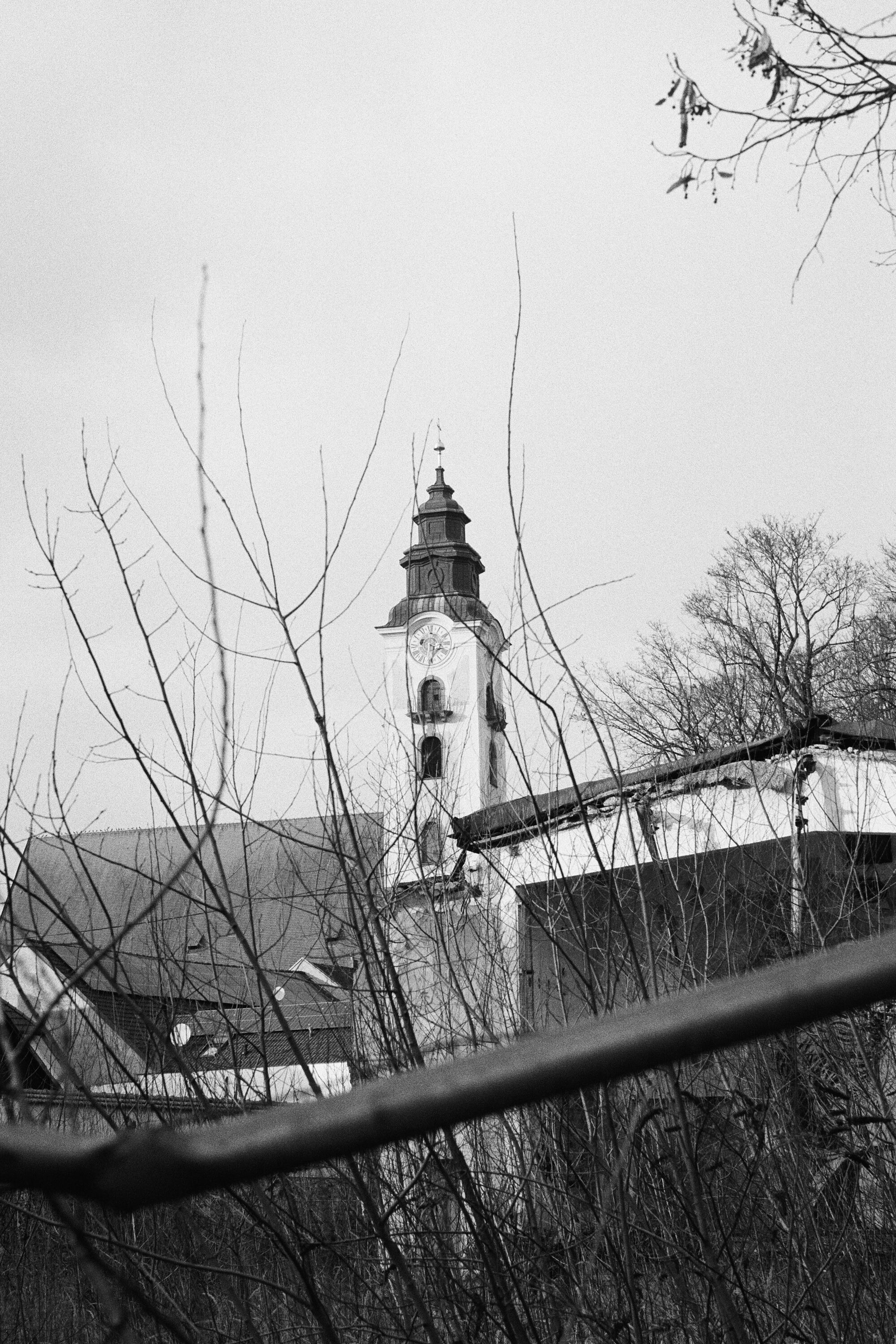 LEICA MP 517901010024