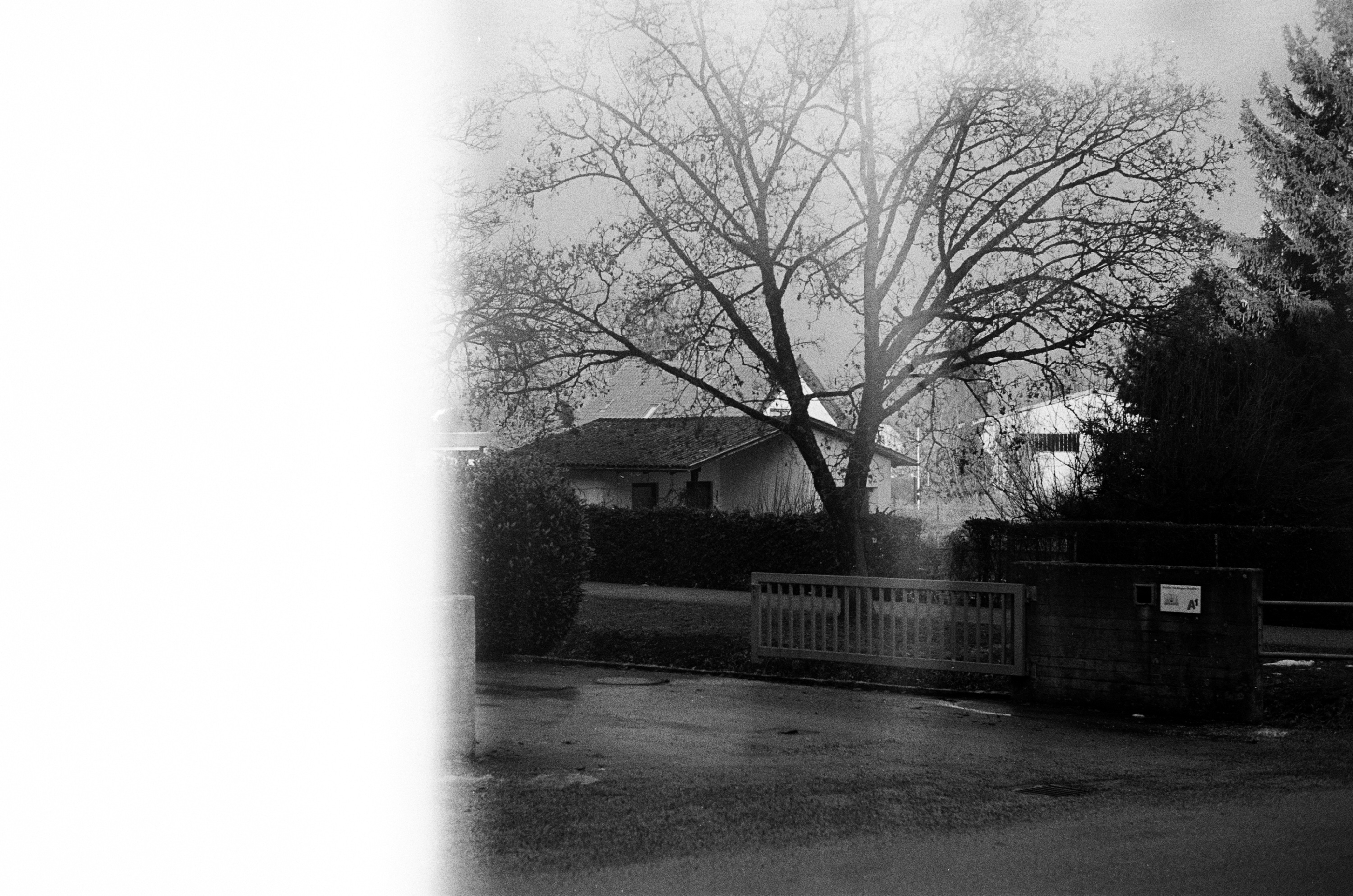 LEICA MP 517901020001