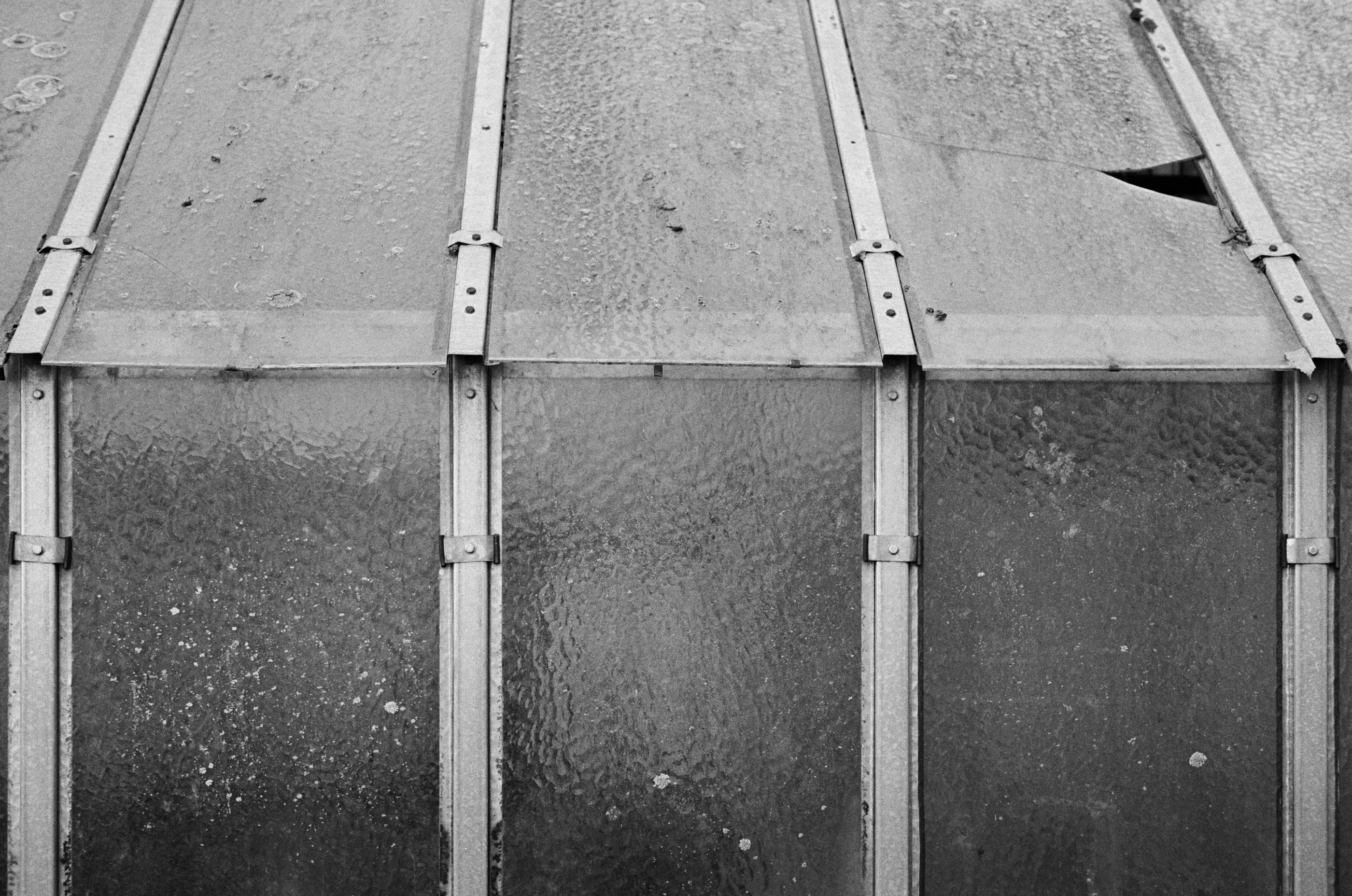 LEICA MP 517901020007