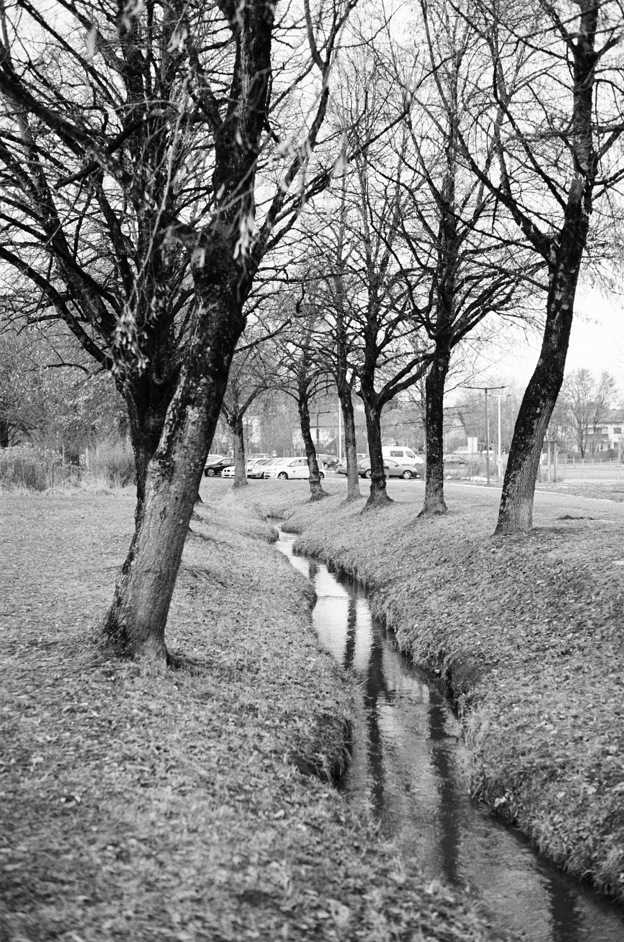 LEICA MP 517901020010