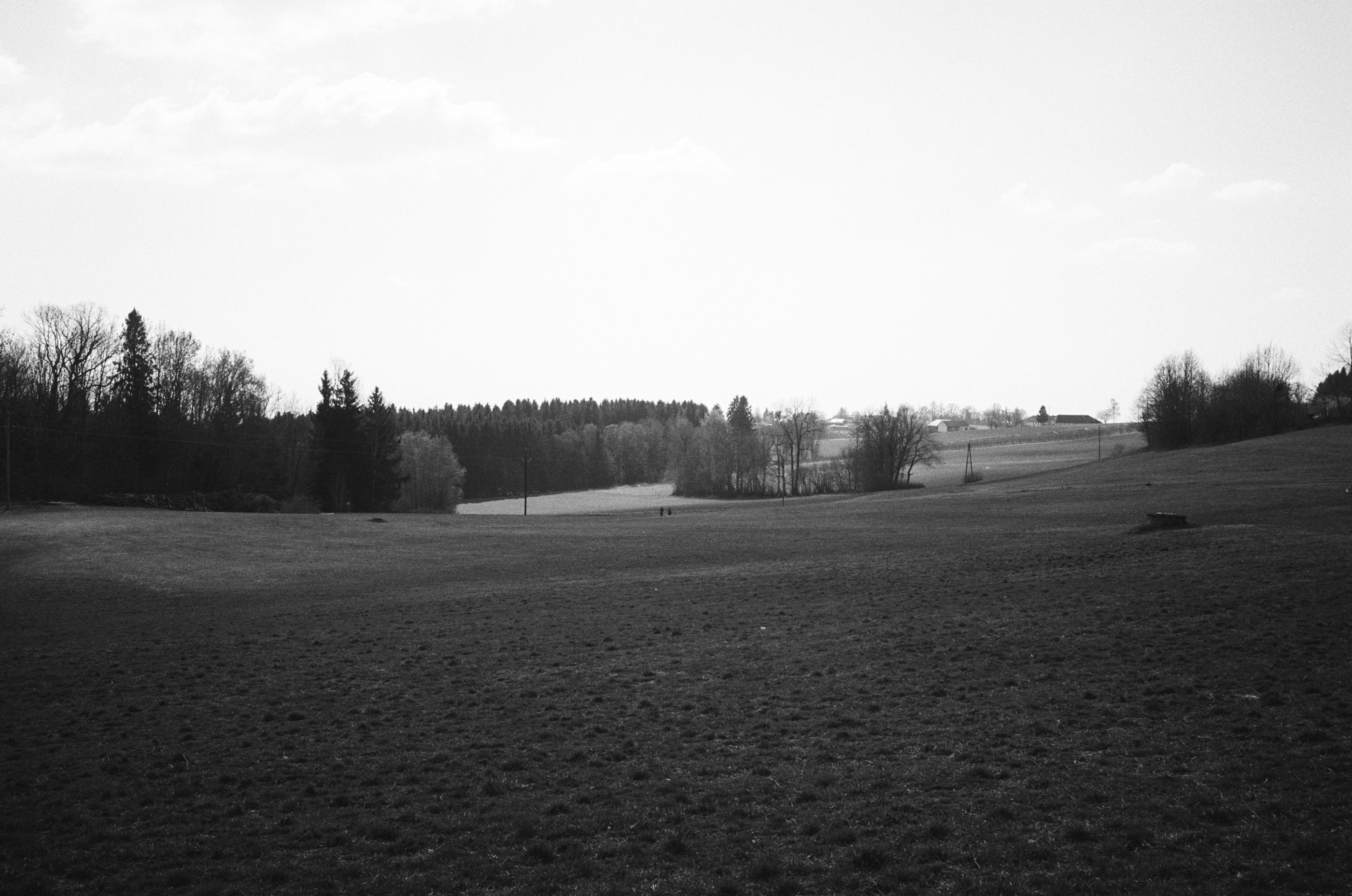 LEICA MP 517901020028