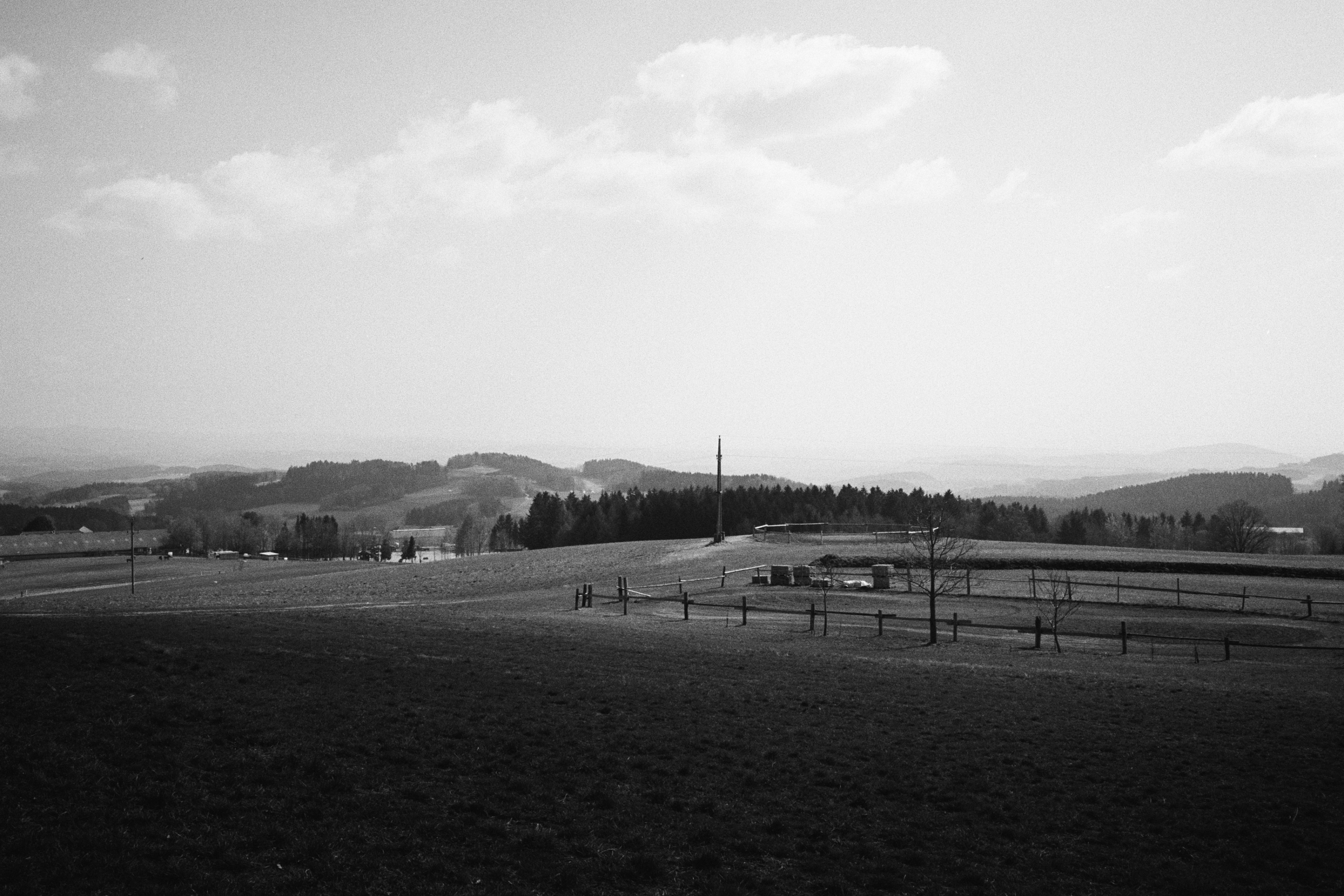 LEICA MP 517901020029