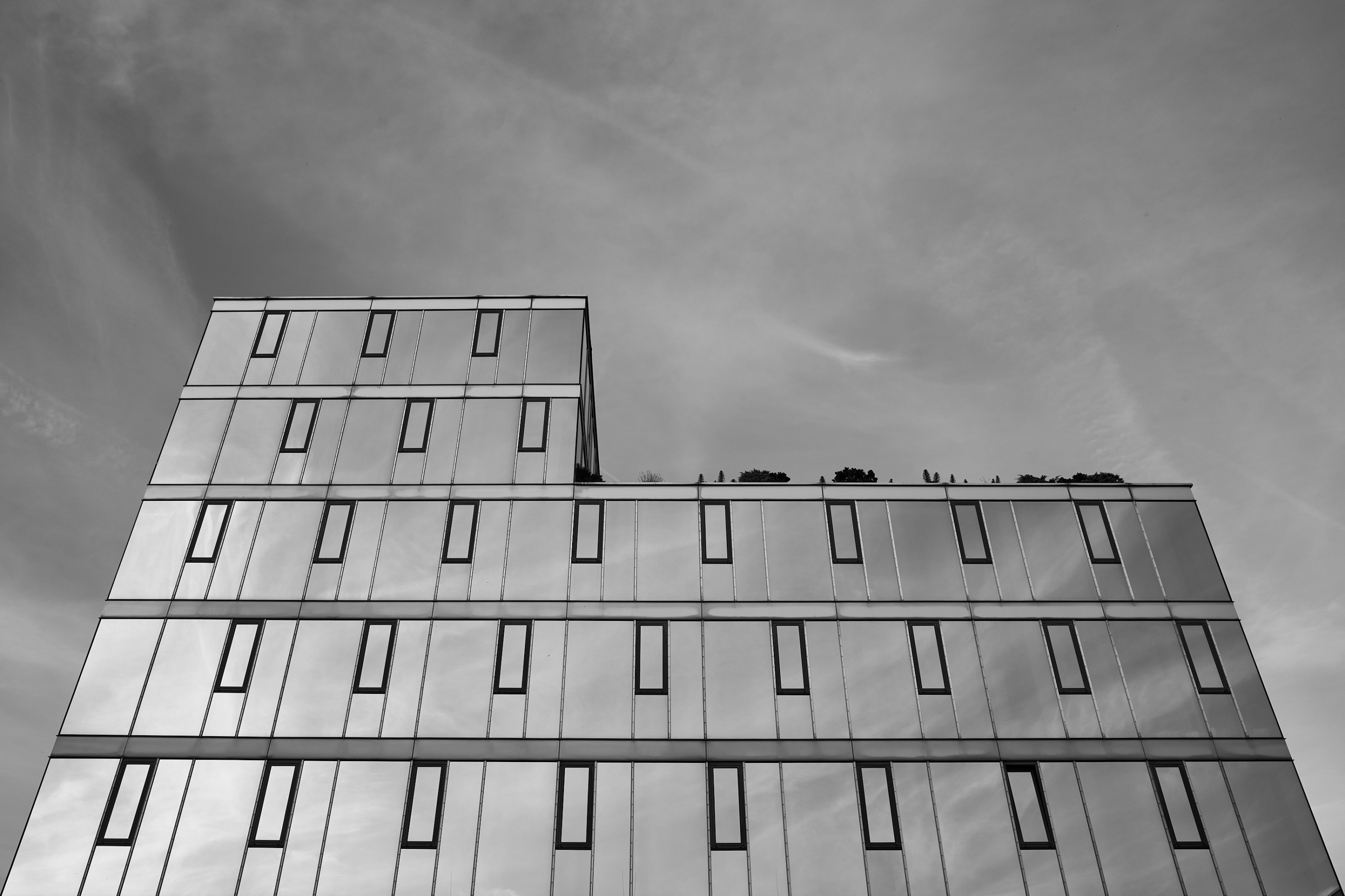 LEICA M11 Monochrom L1004117