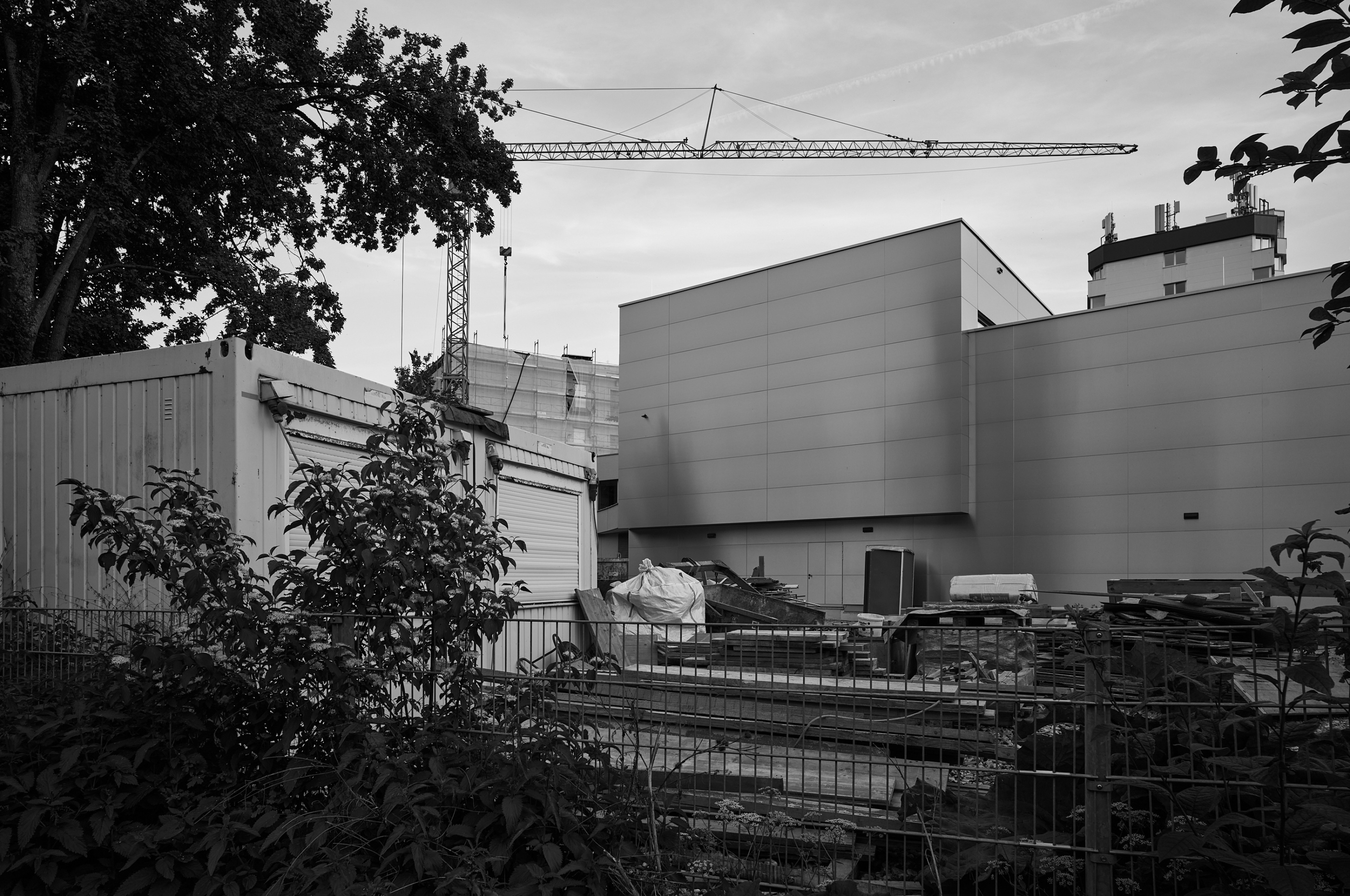 LEICA M11 Monochrom L1004130