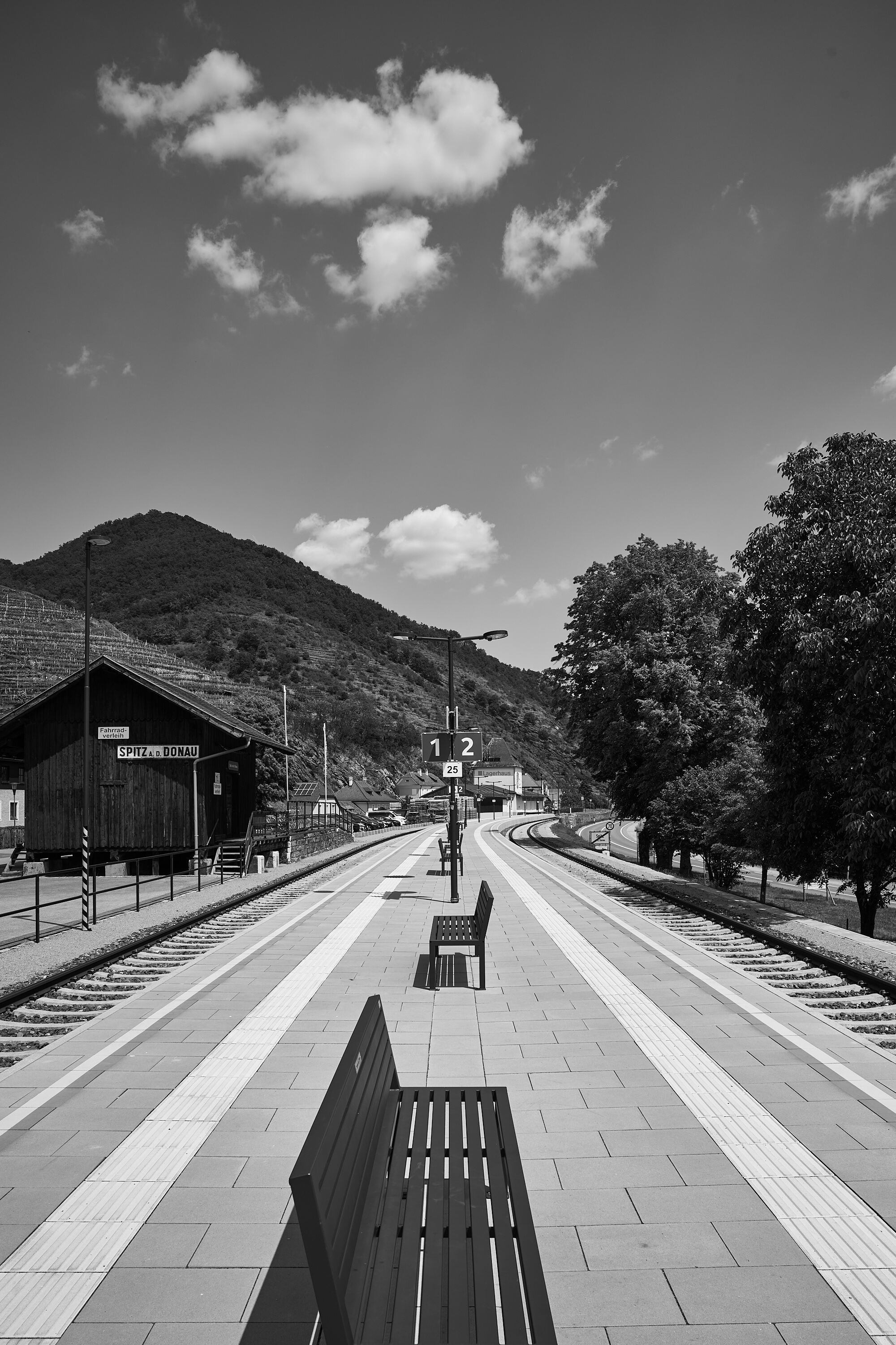 LEICA M11 Monochrom L1004149