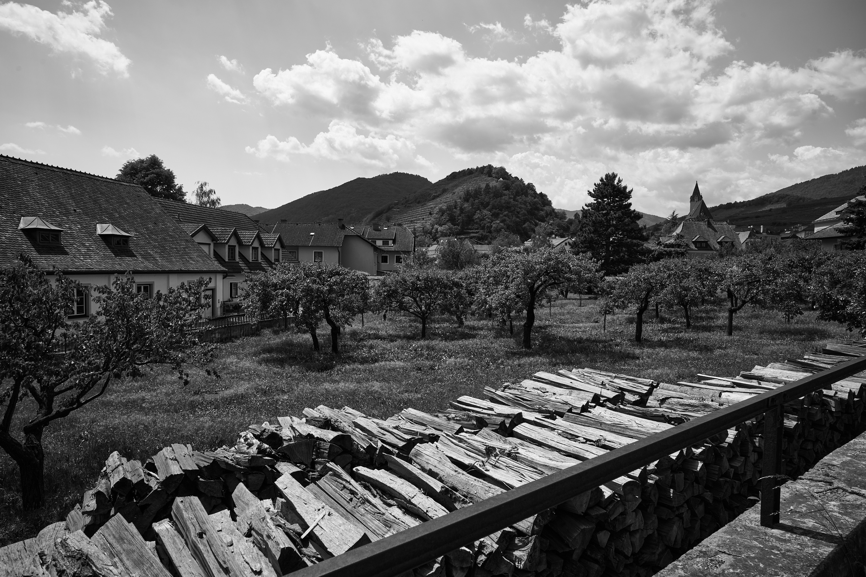 LEICA M11 Monochrom L1004157