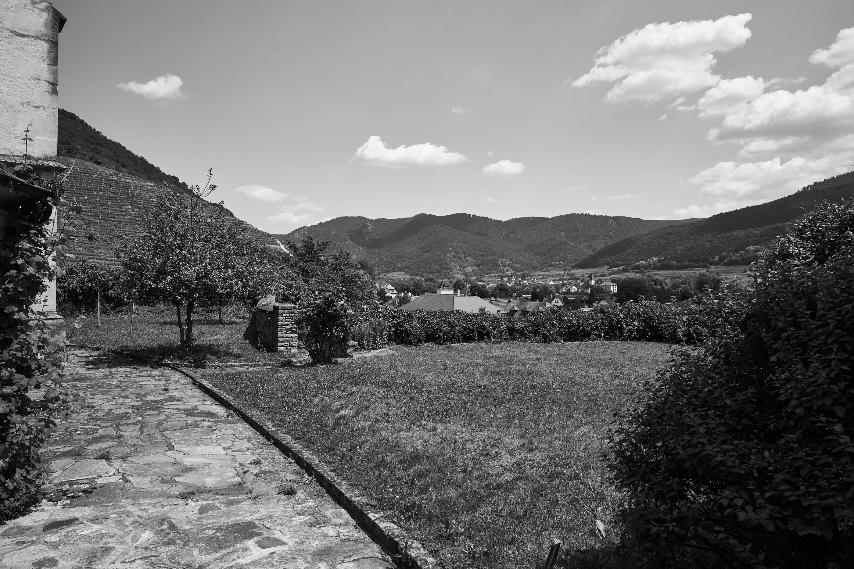 LEICA M11 Monochrom L1004175
