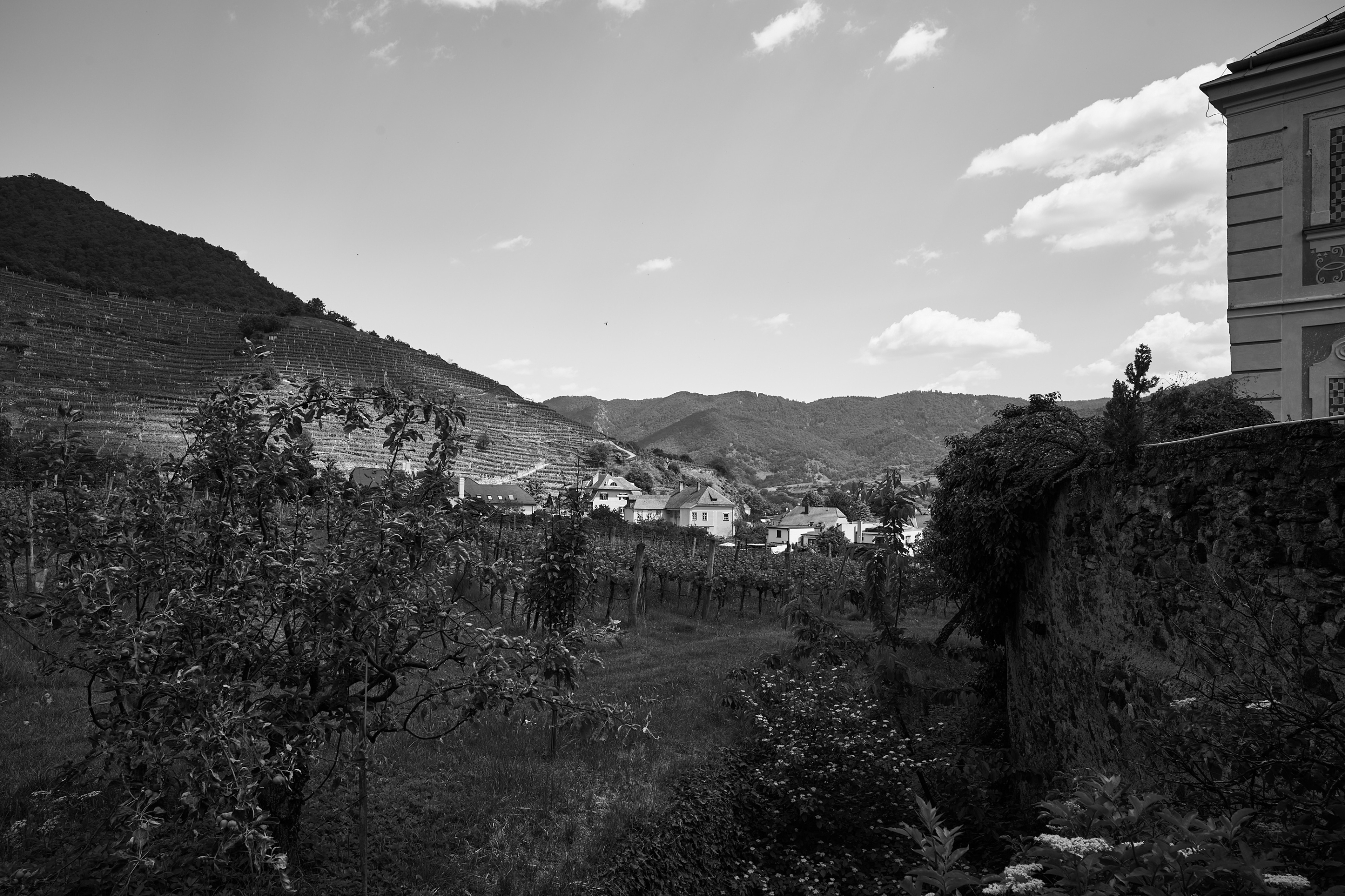 LEICA M11 Monochrom L1004179