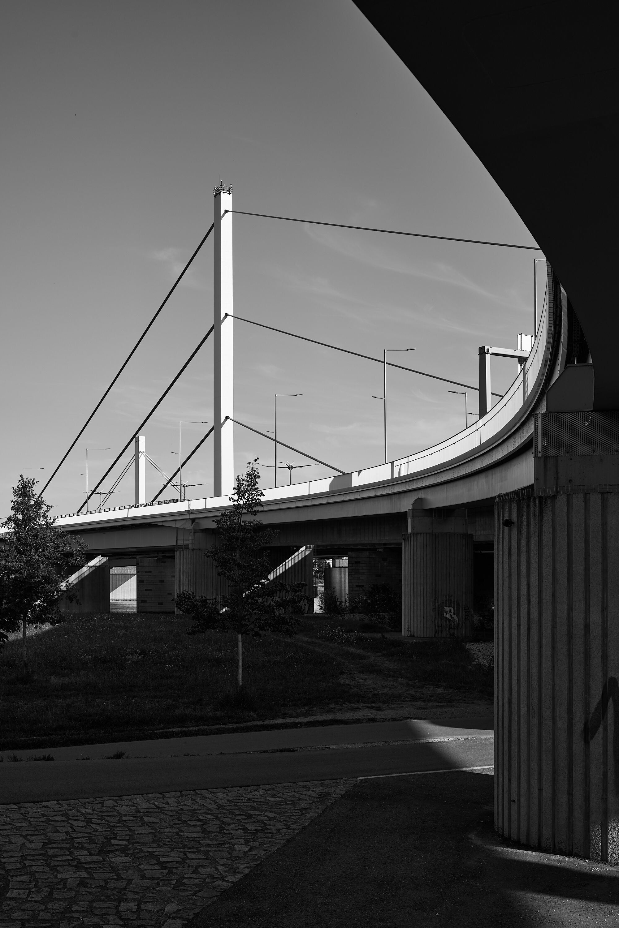 LEICA M11 Monochrom L1004282