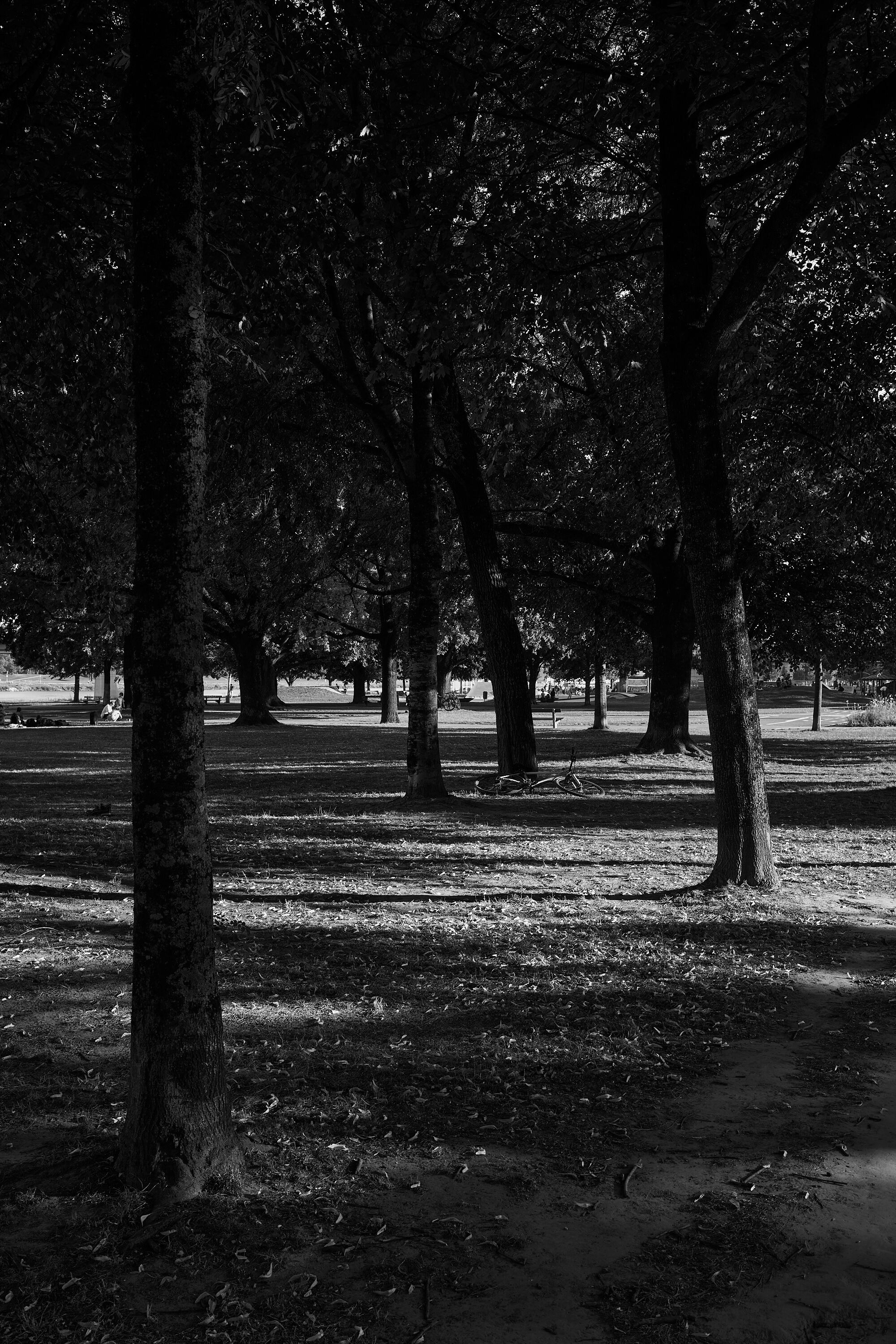 LEICA M11 Monochrom L1004288
