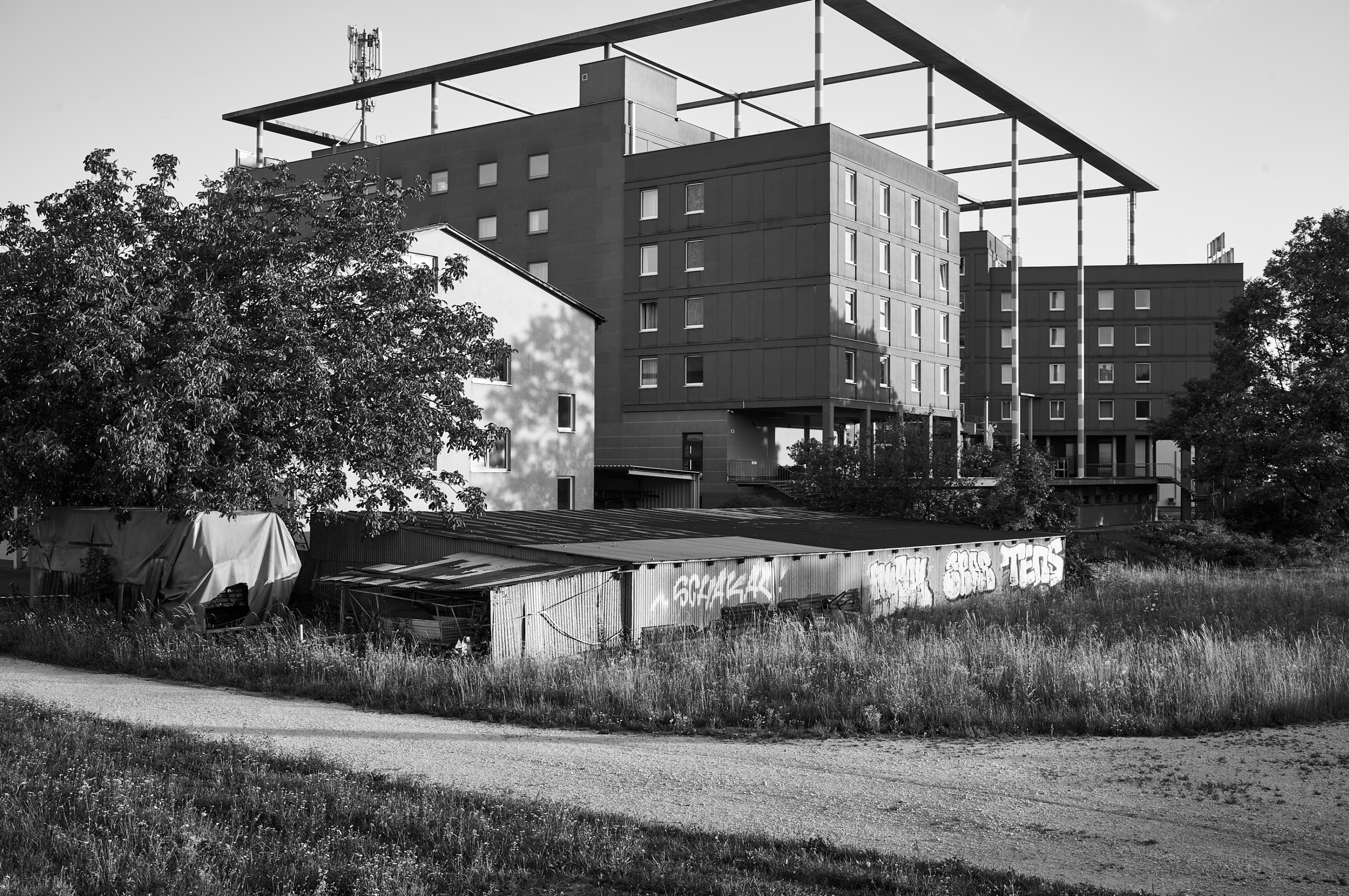 LEICA M11 Monochrom L1004299