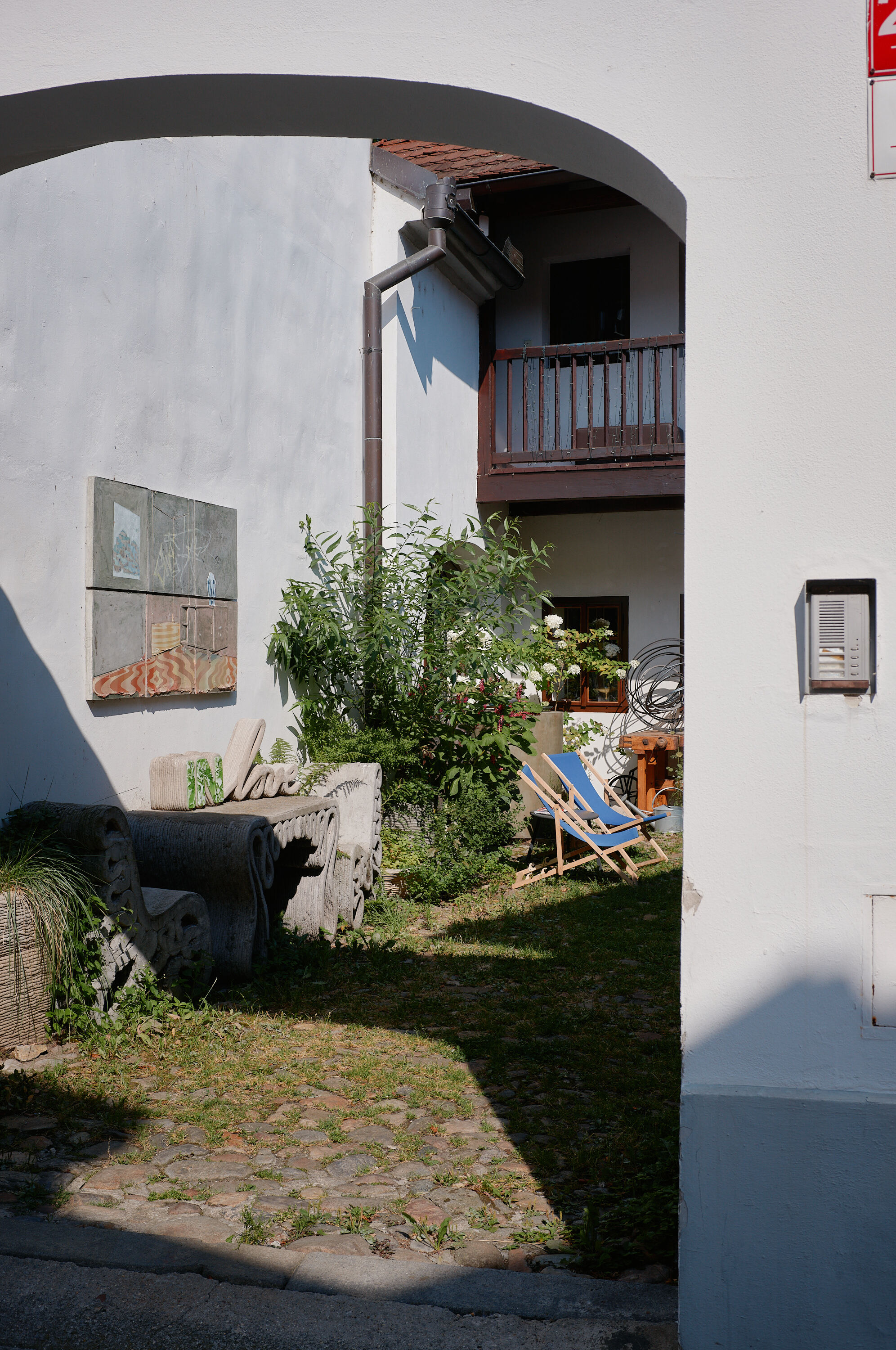 LEICA M11 P L1007260