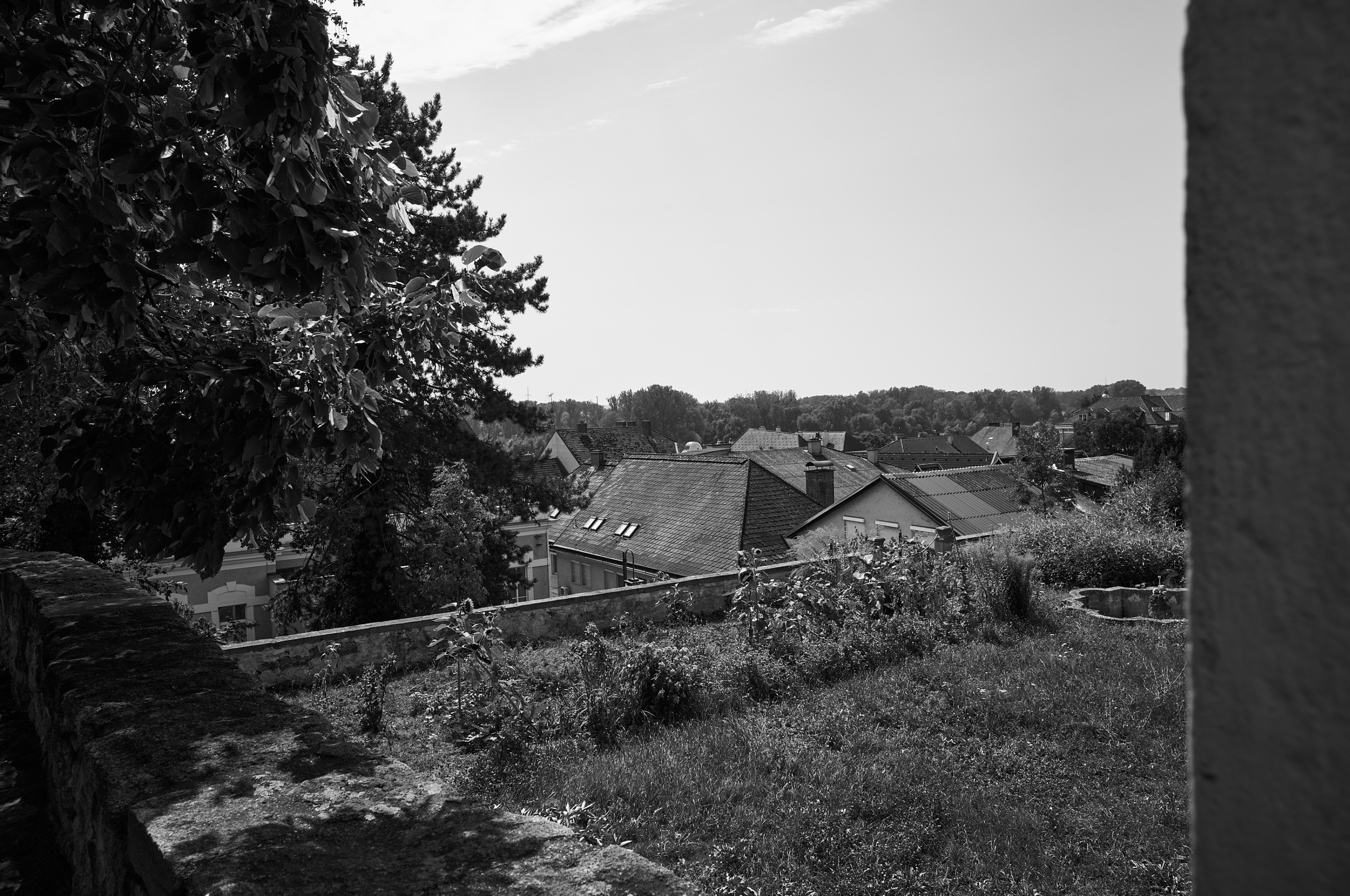 LEICA M11 Monochrom L1004354