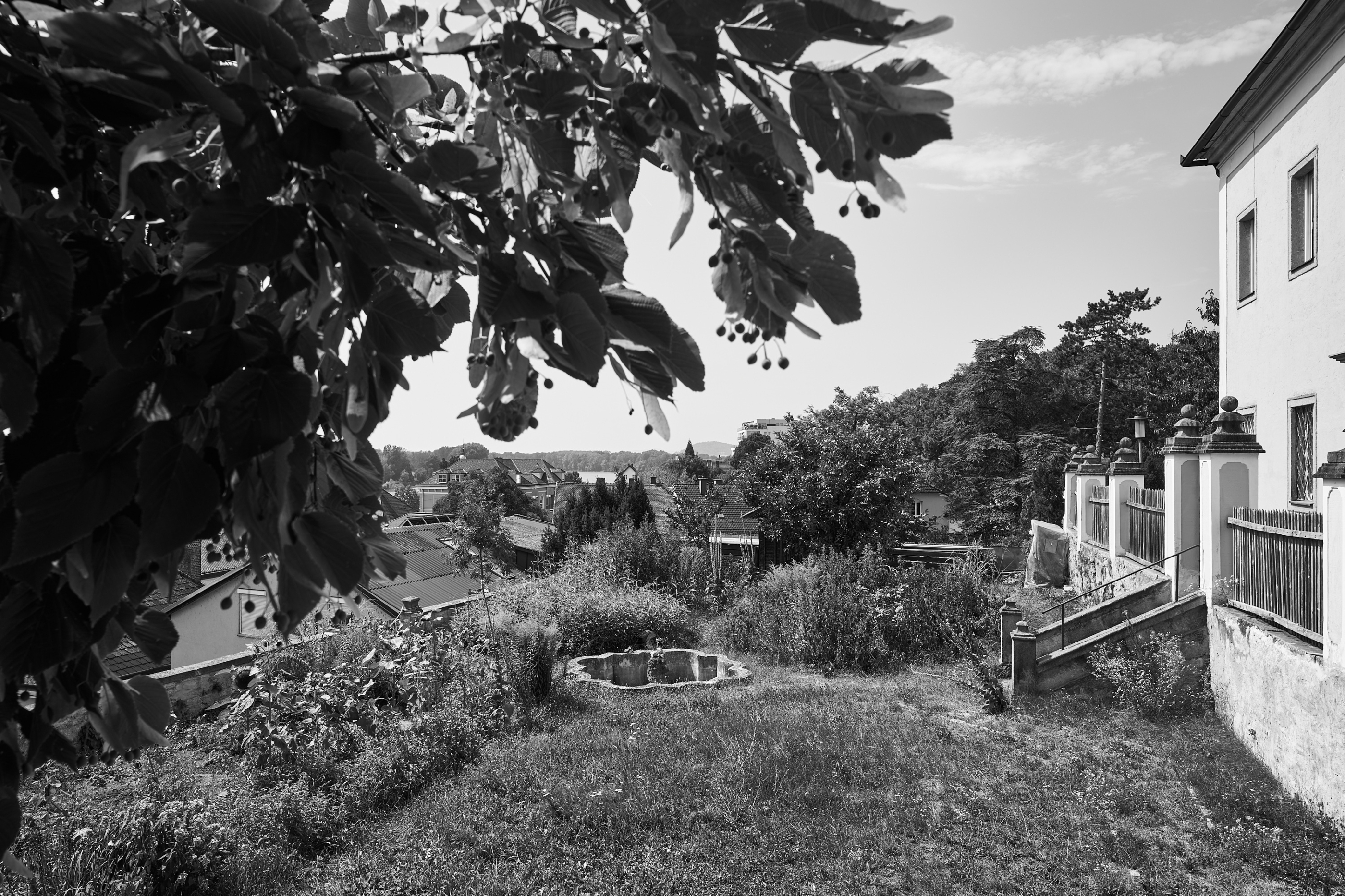 LEICA M11 Monochrom L1004356