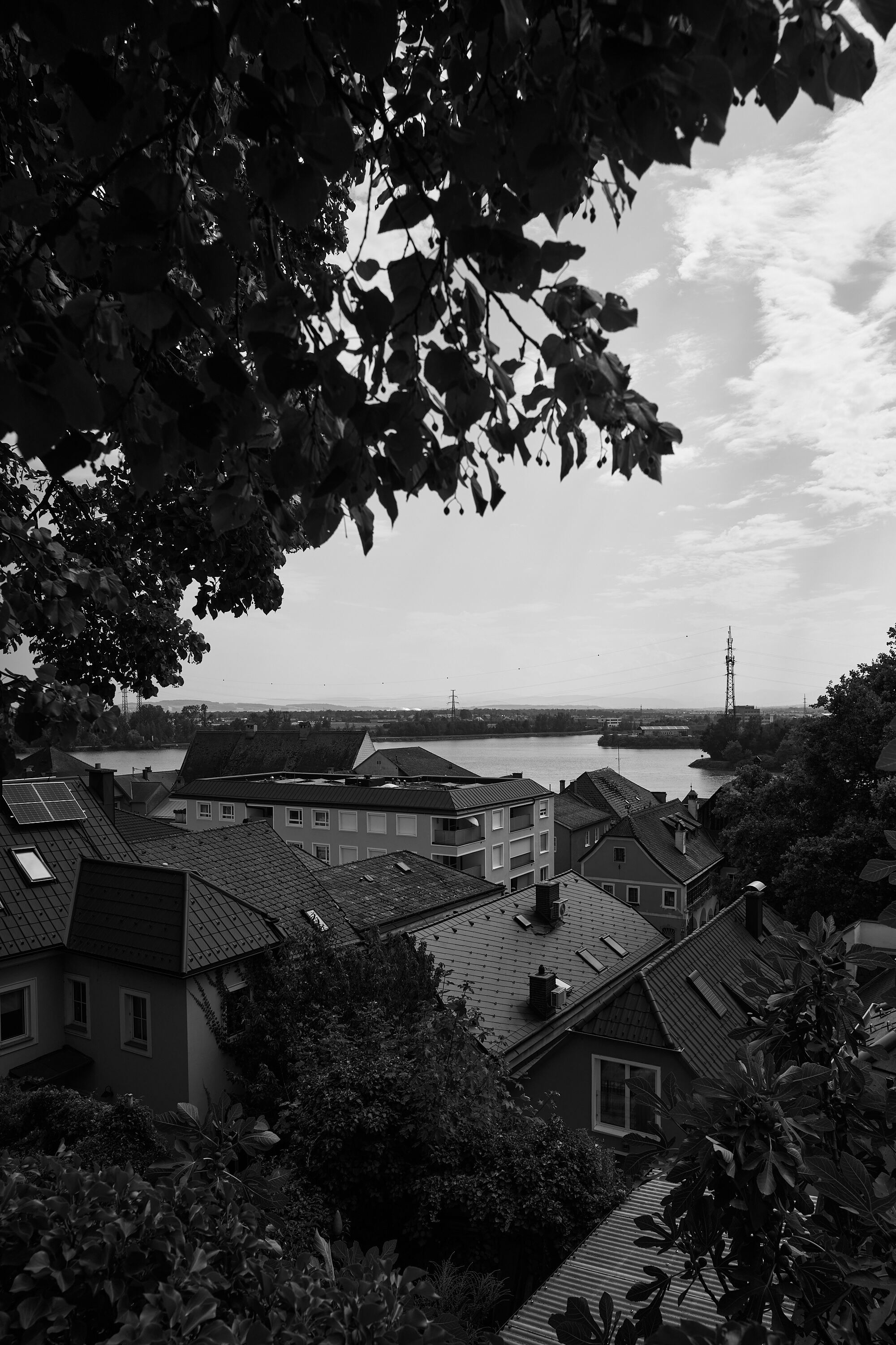 LEICA M11 Monochrom L1004360