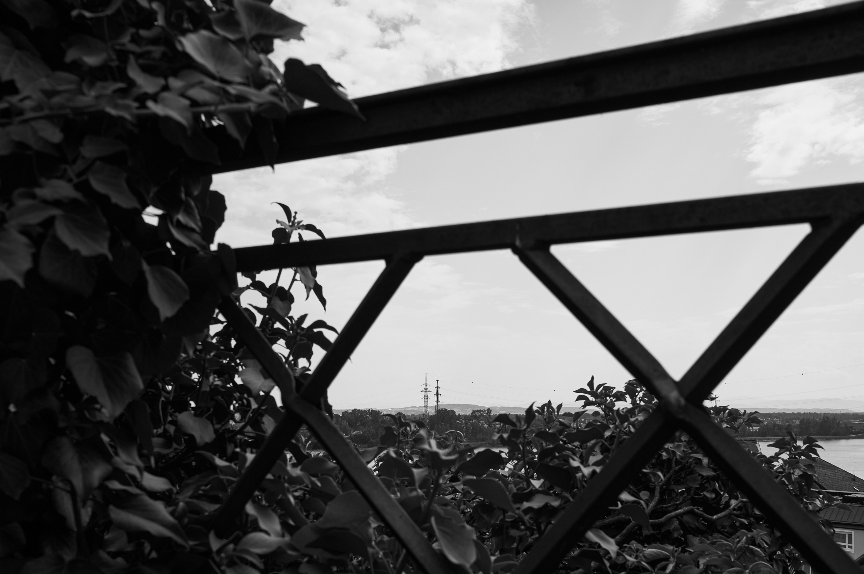 LEICA M11 Monochrom L1004362