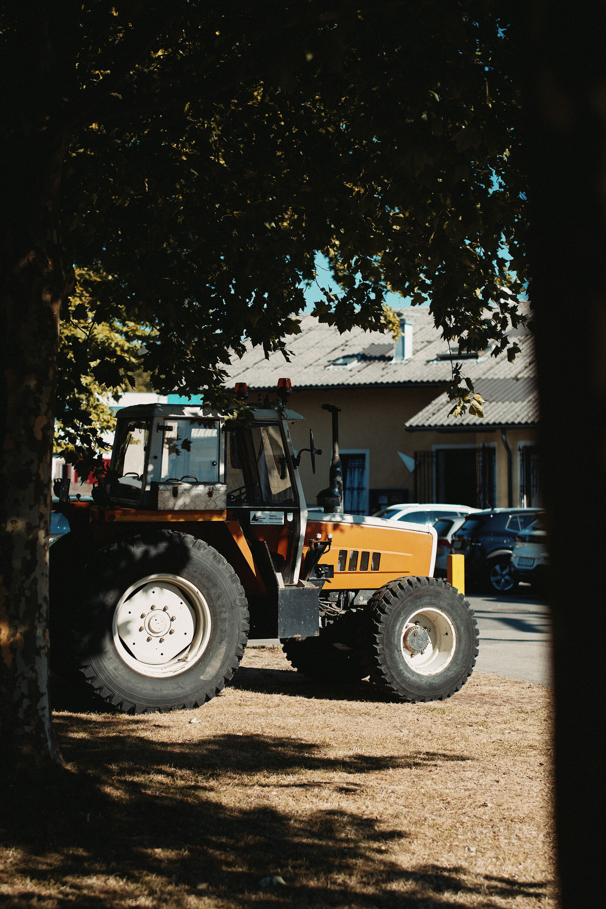 LEICA M11 P L1007268