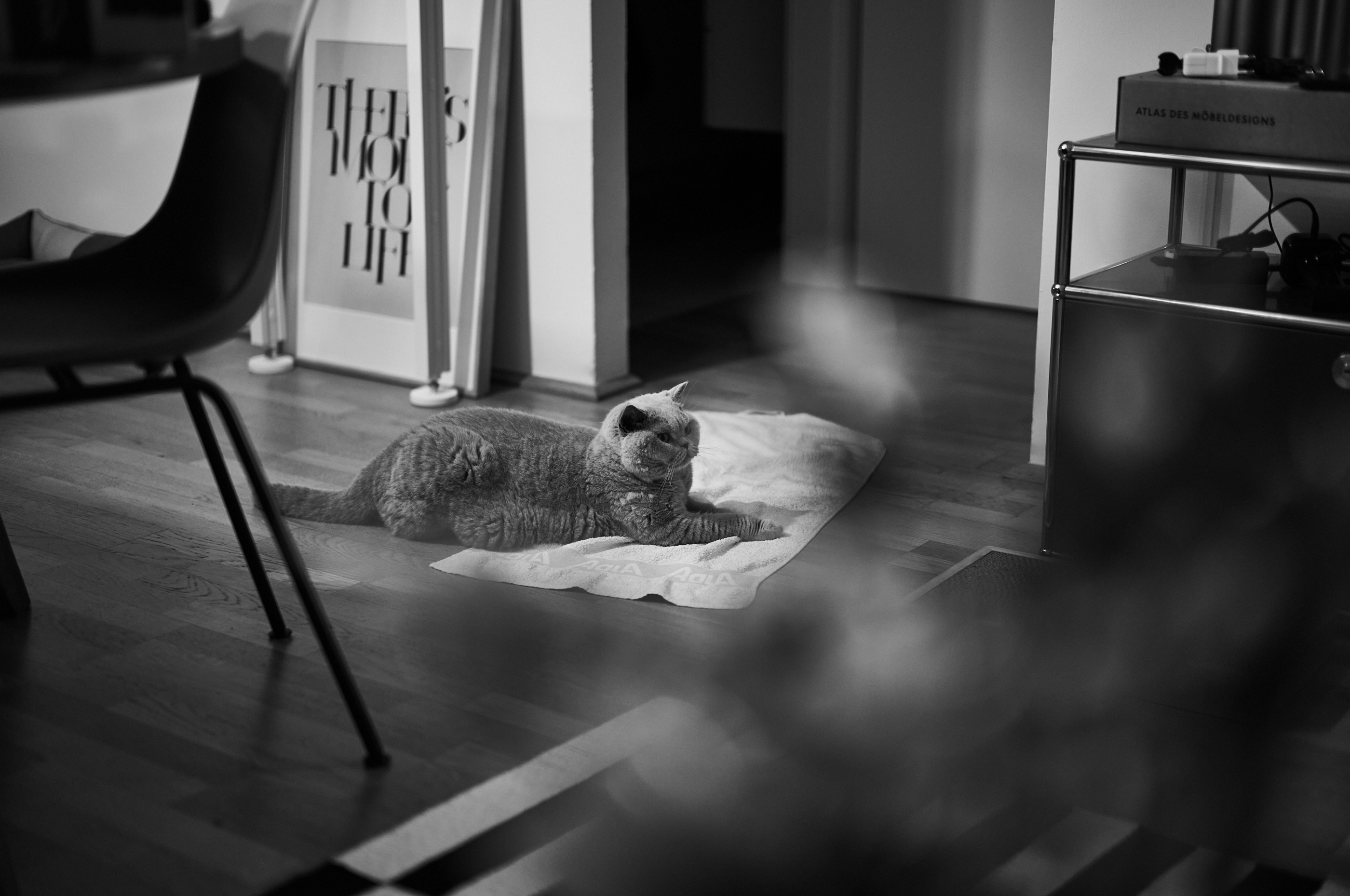 LEICA M11 Monochrom L1004372