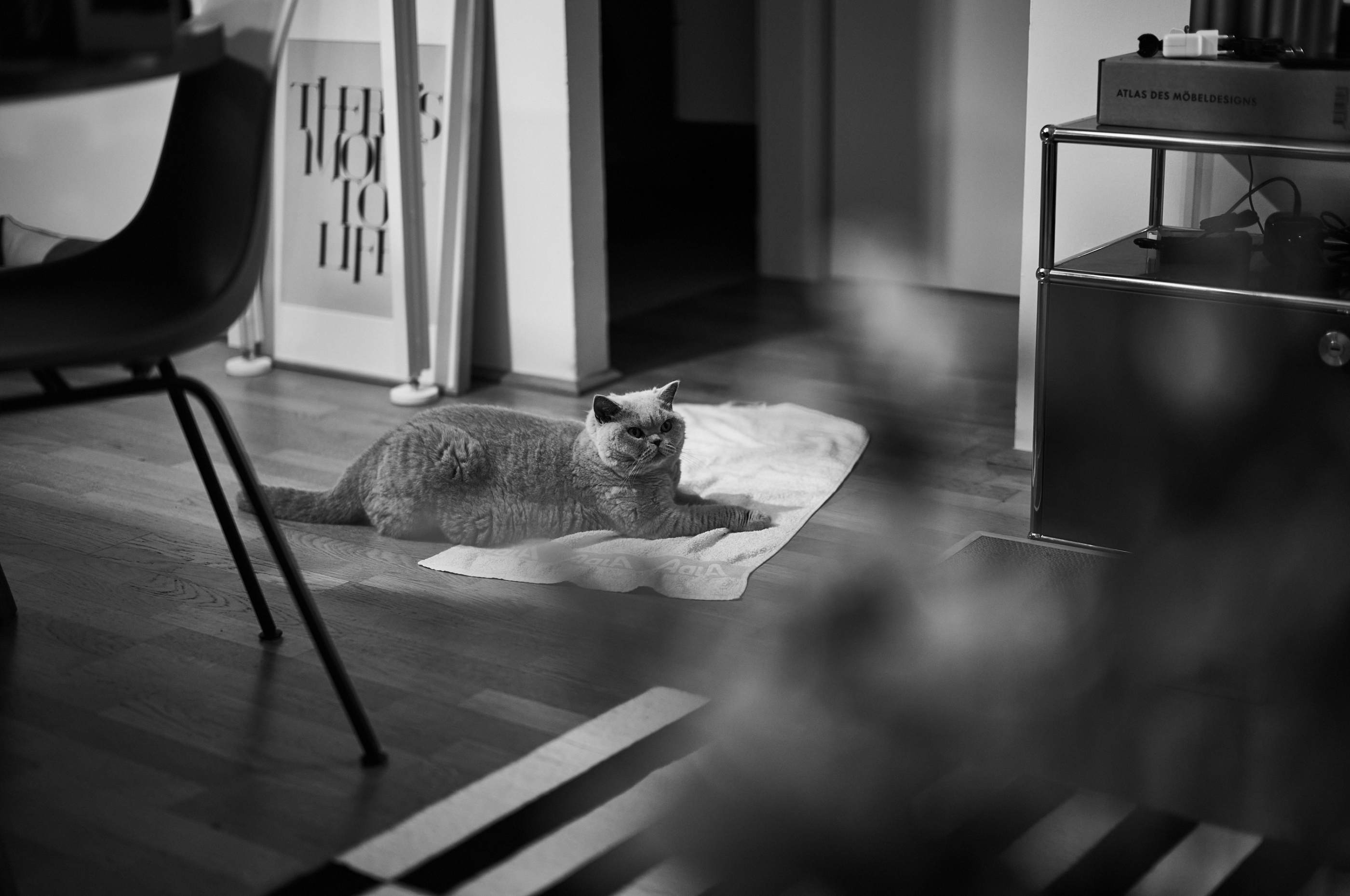LEICA M11 Monochrom L1004373