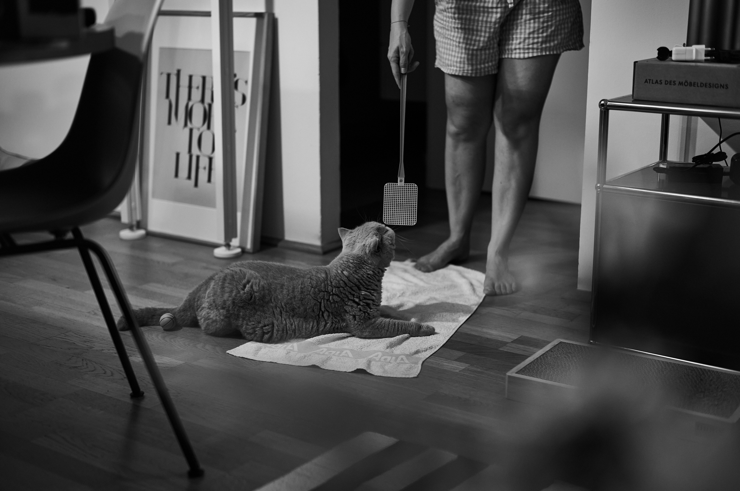 LEICA M11 Monochrom L1004377
