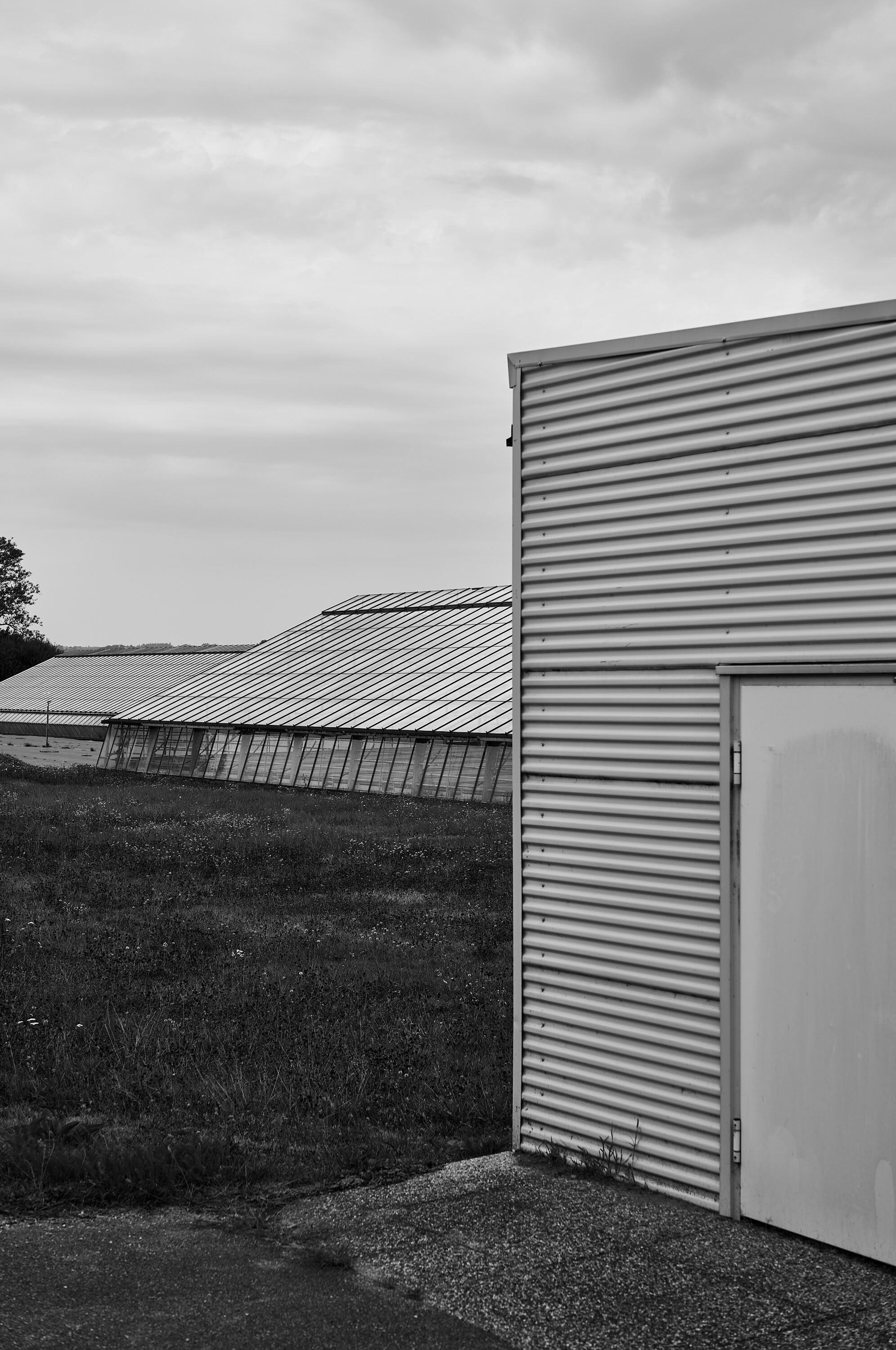 LEICA M11 Monochrom L1004426