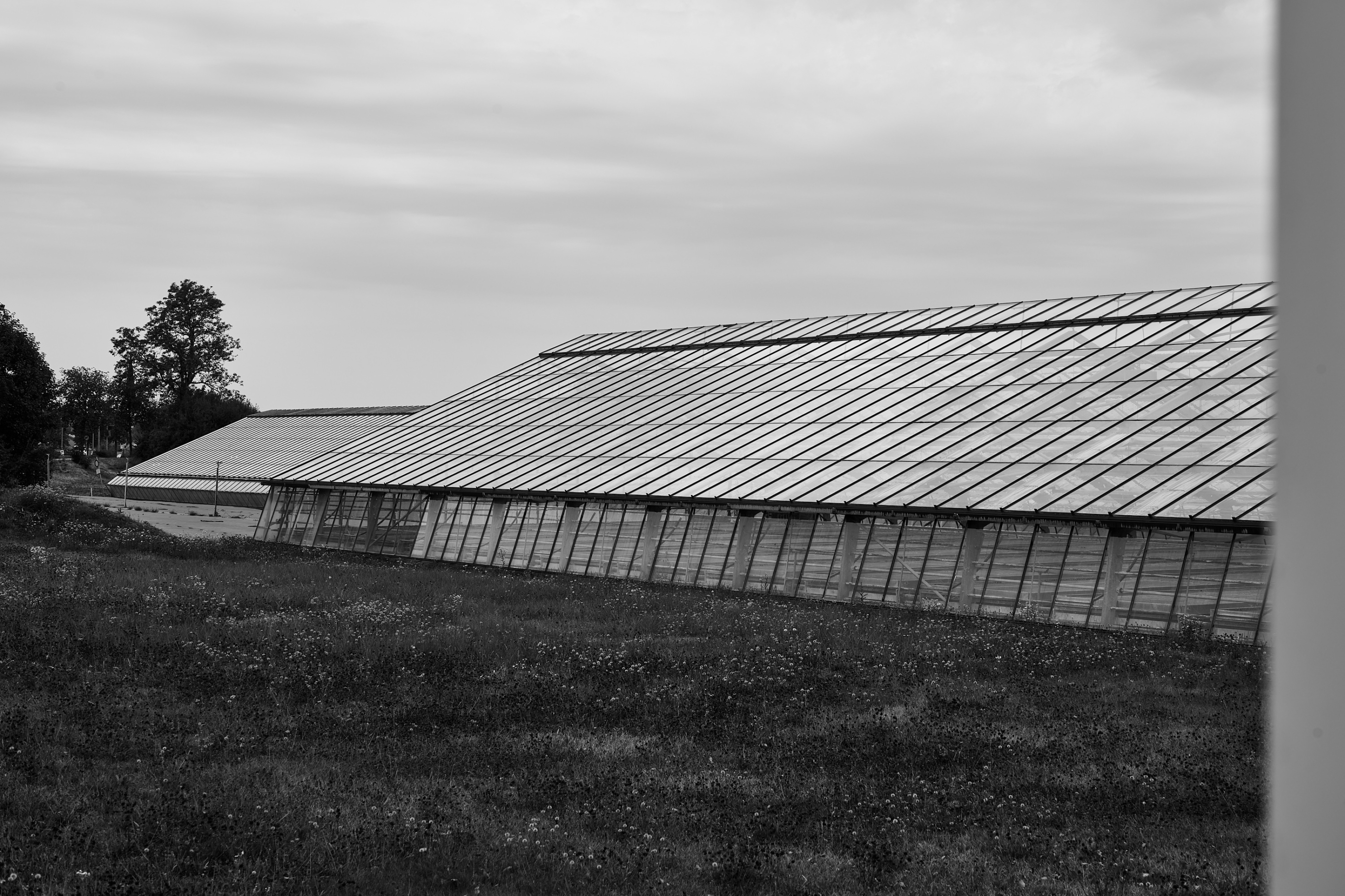 LEICA M11 Monochrom L1004427