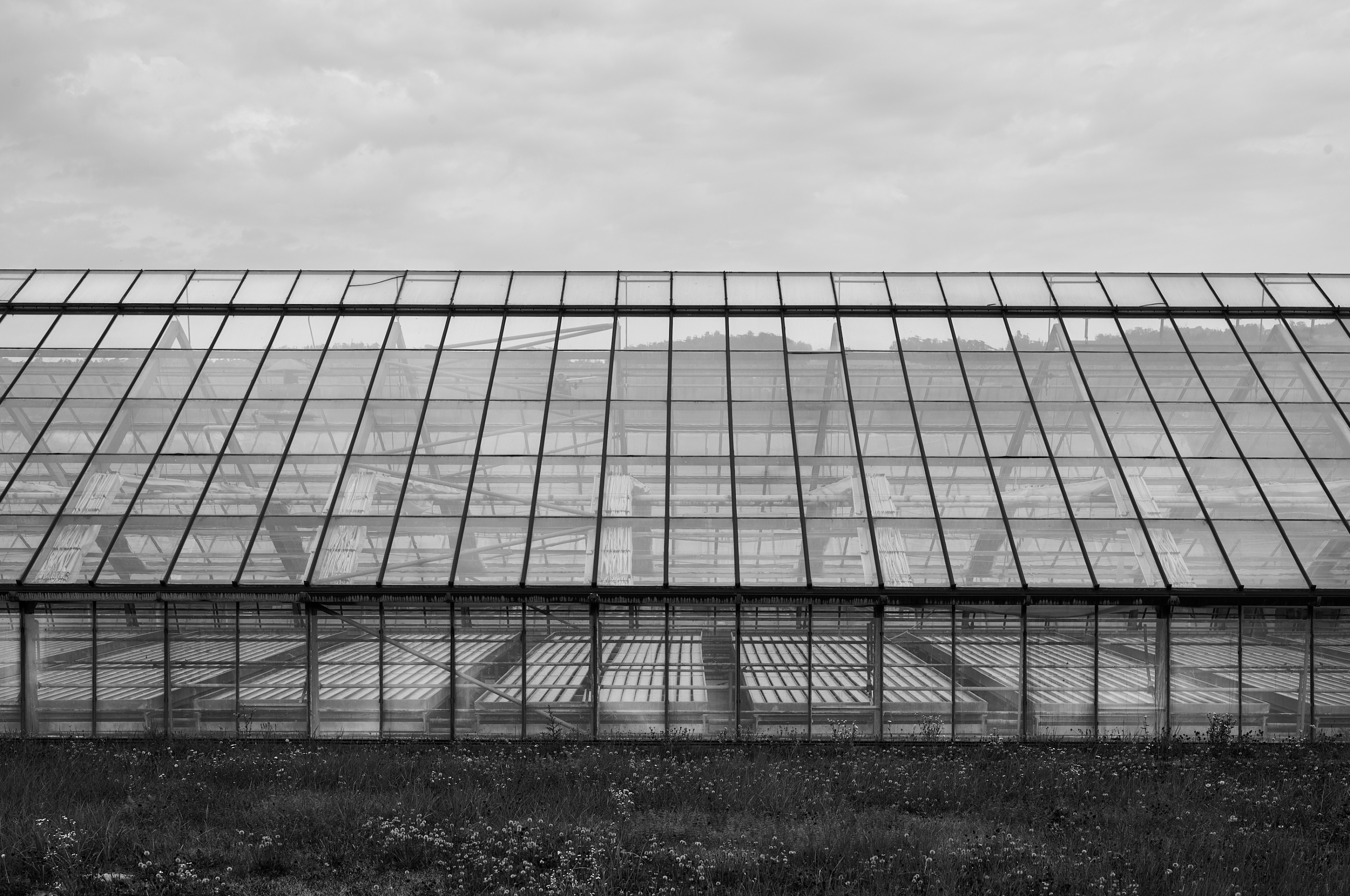 LEICA M11 Monochrom L1004429