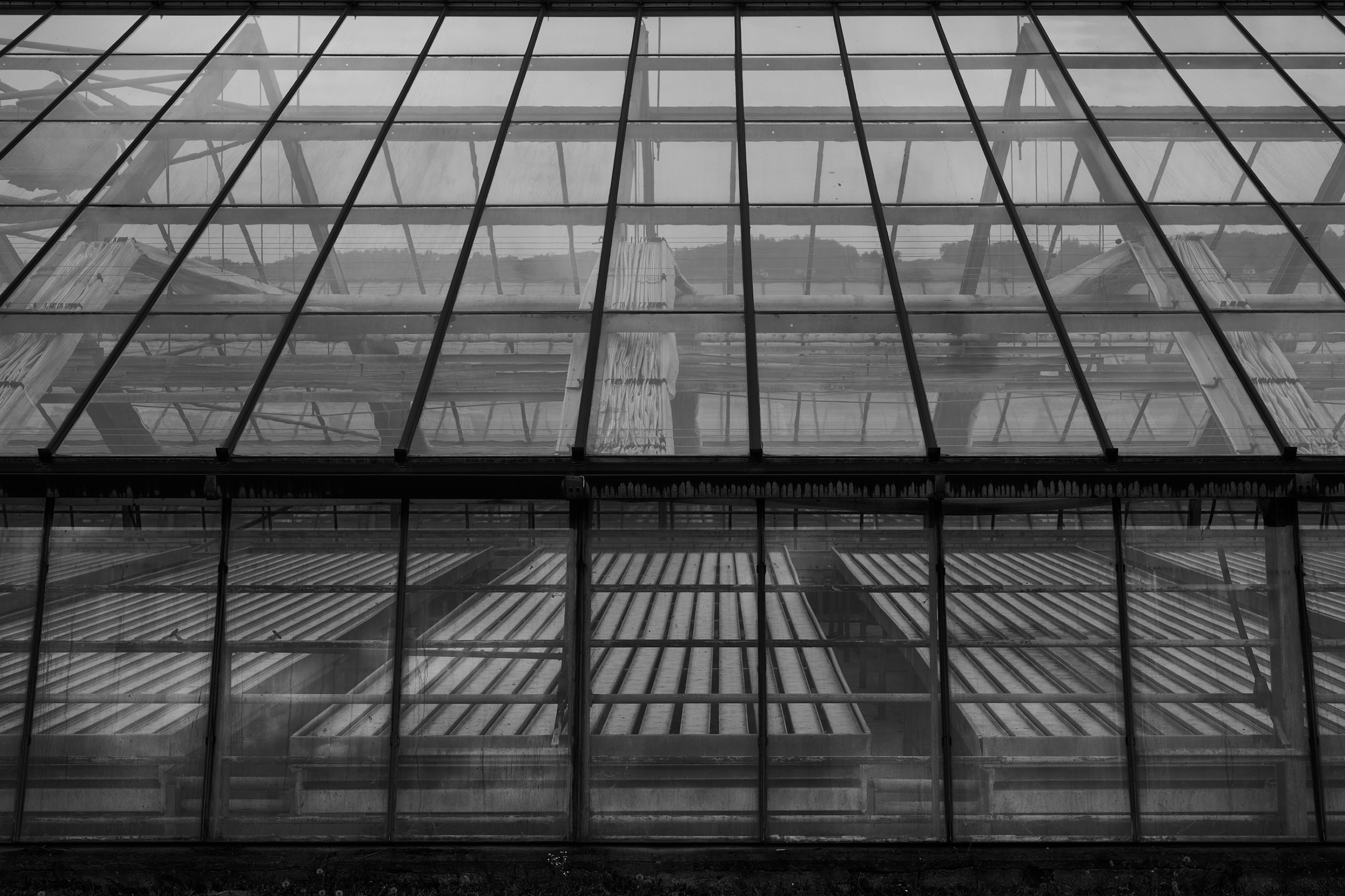 LEICA M11 Monochrom L1004430