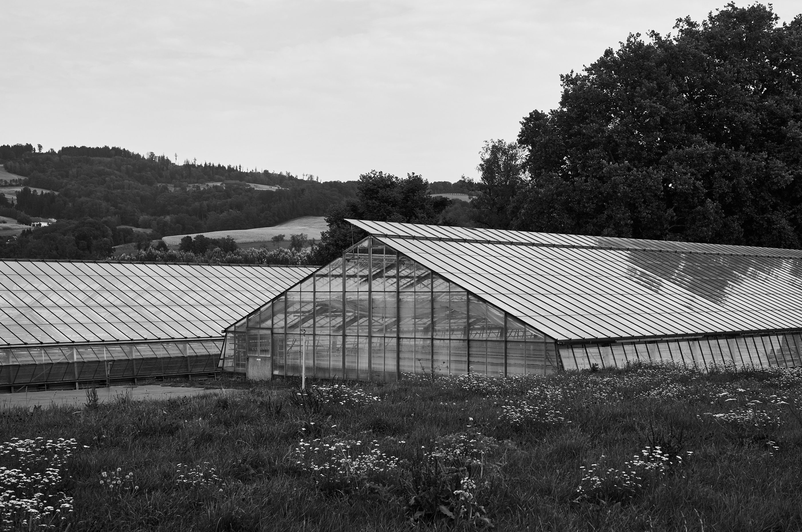 LEICA M11 Monochrom L1004434