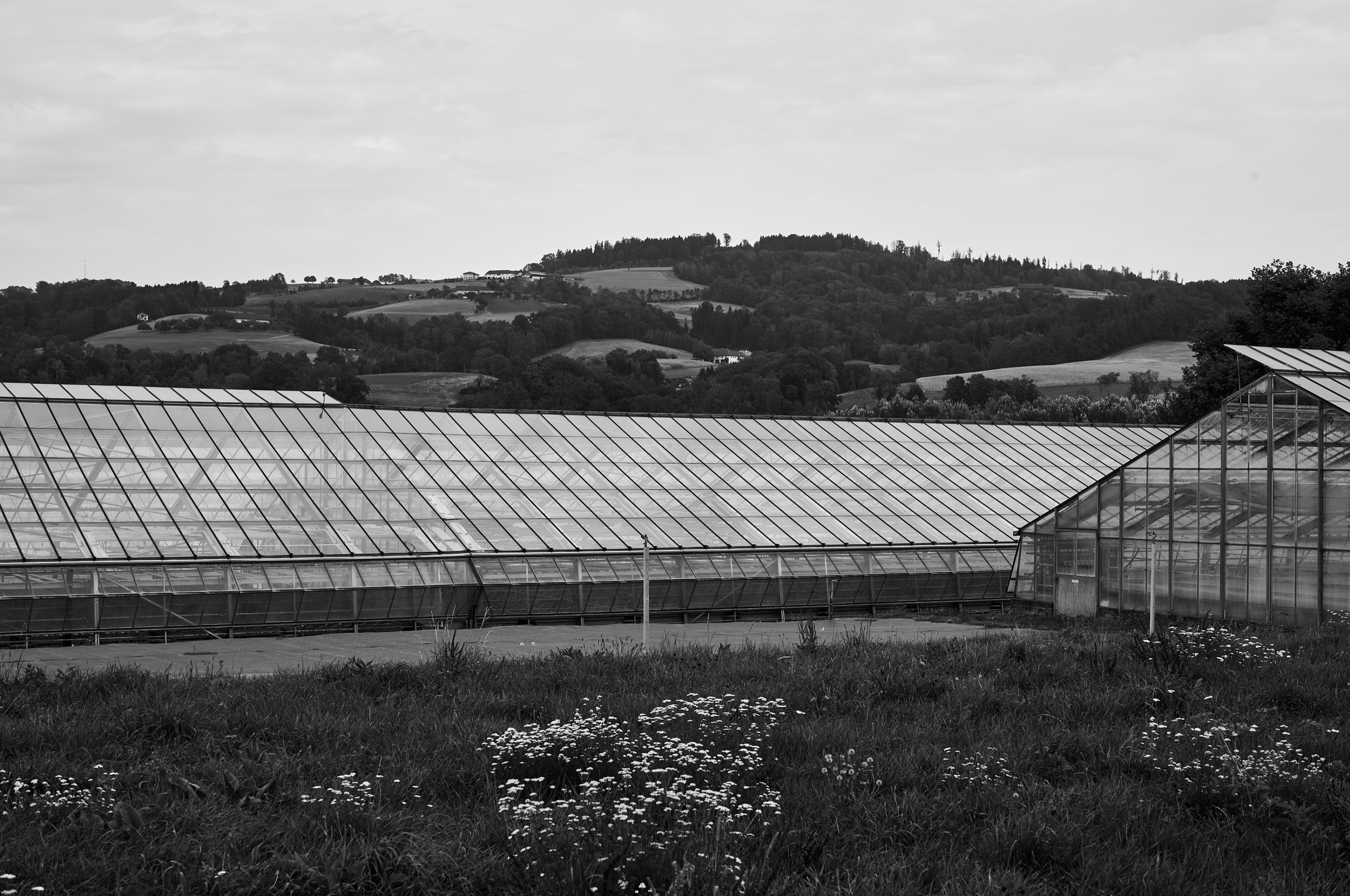LEICA M11 Monochrom L1004435