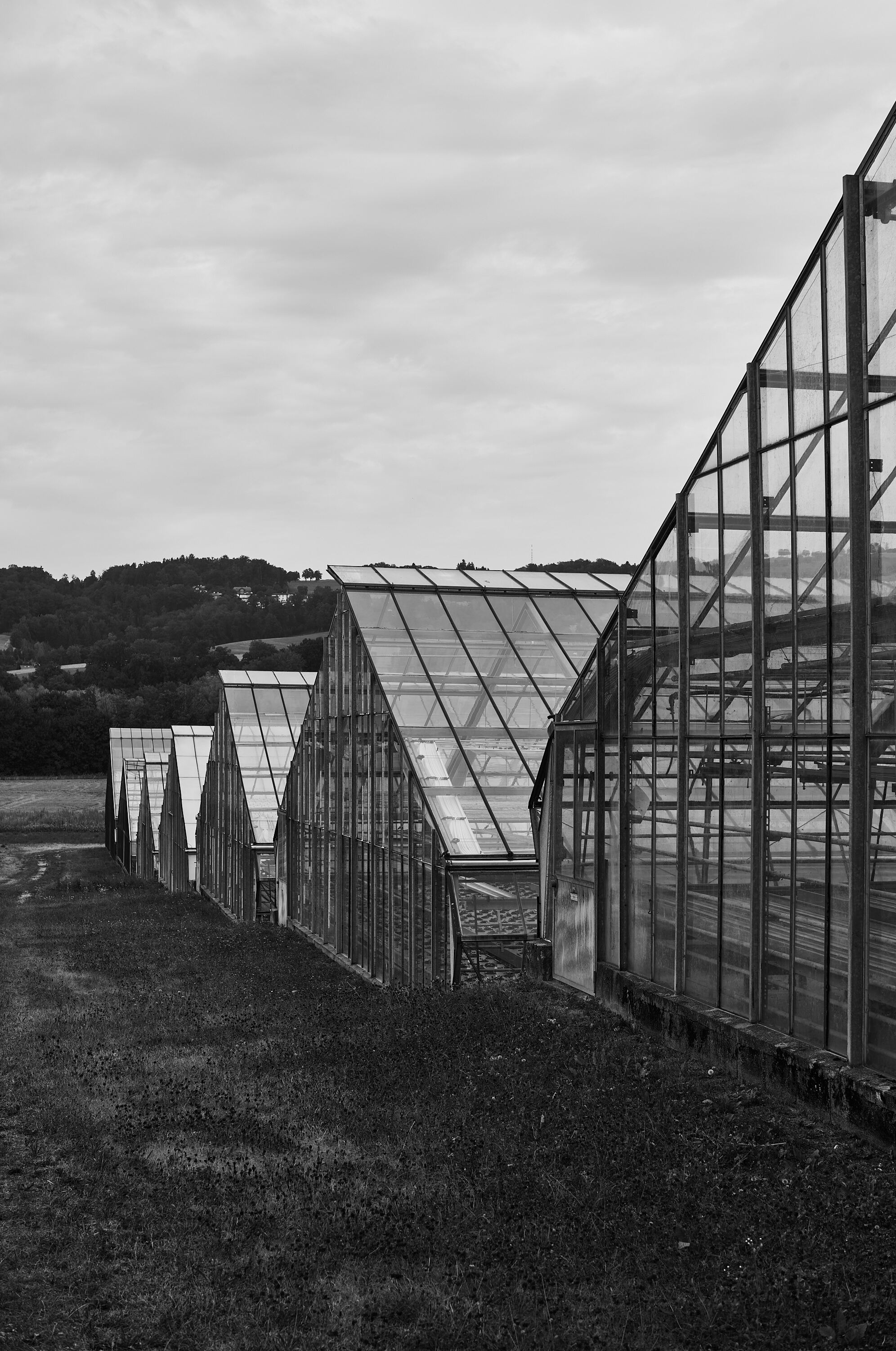 LEICA M11 Monochrom L1004437