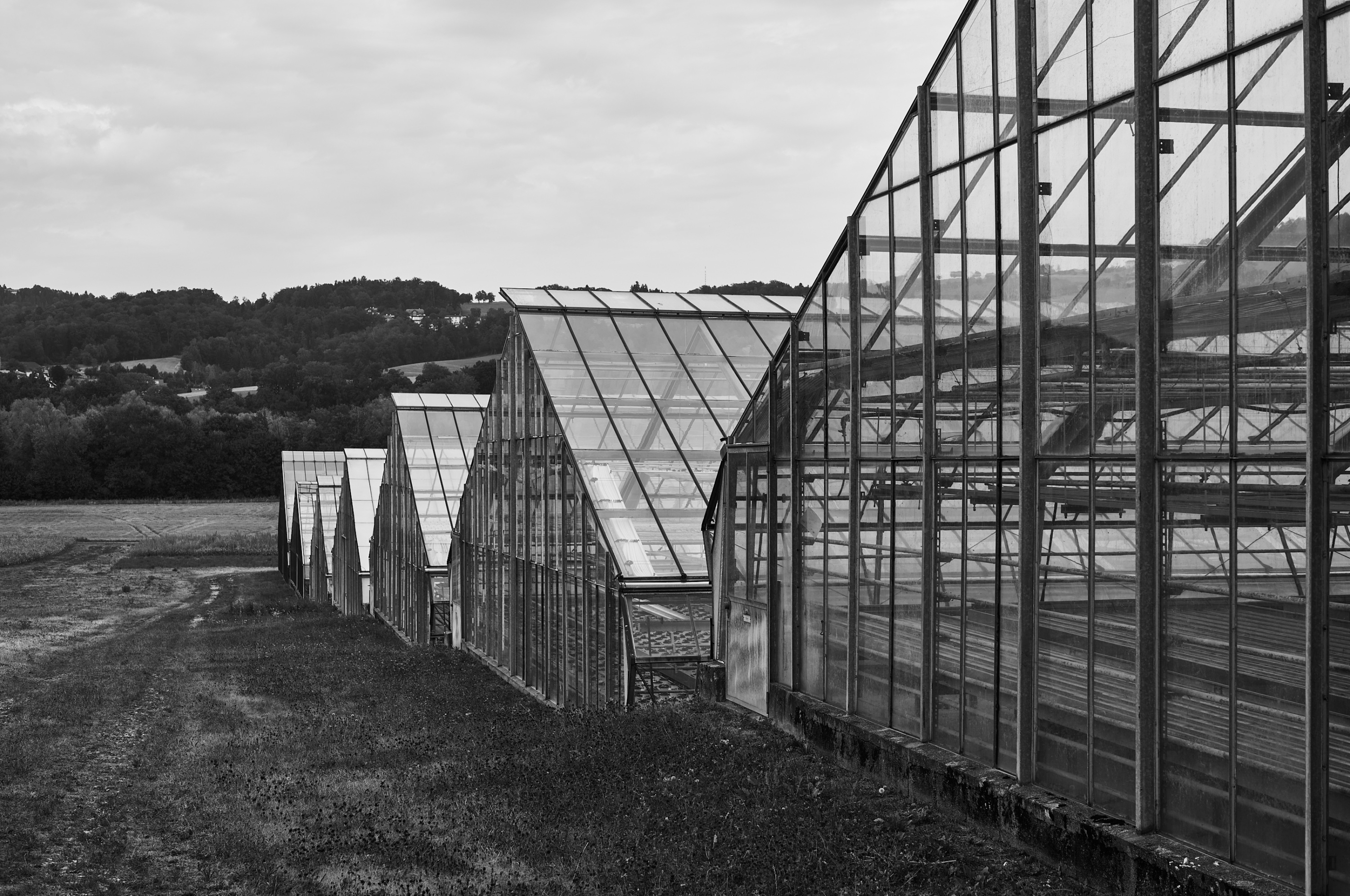 LEICA M11 Monochrom L1004438