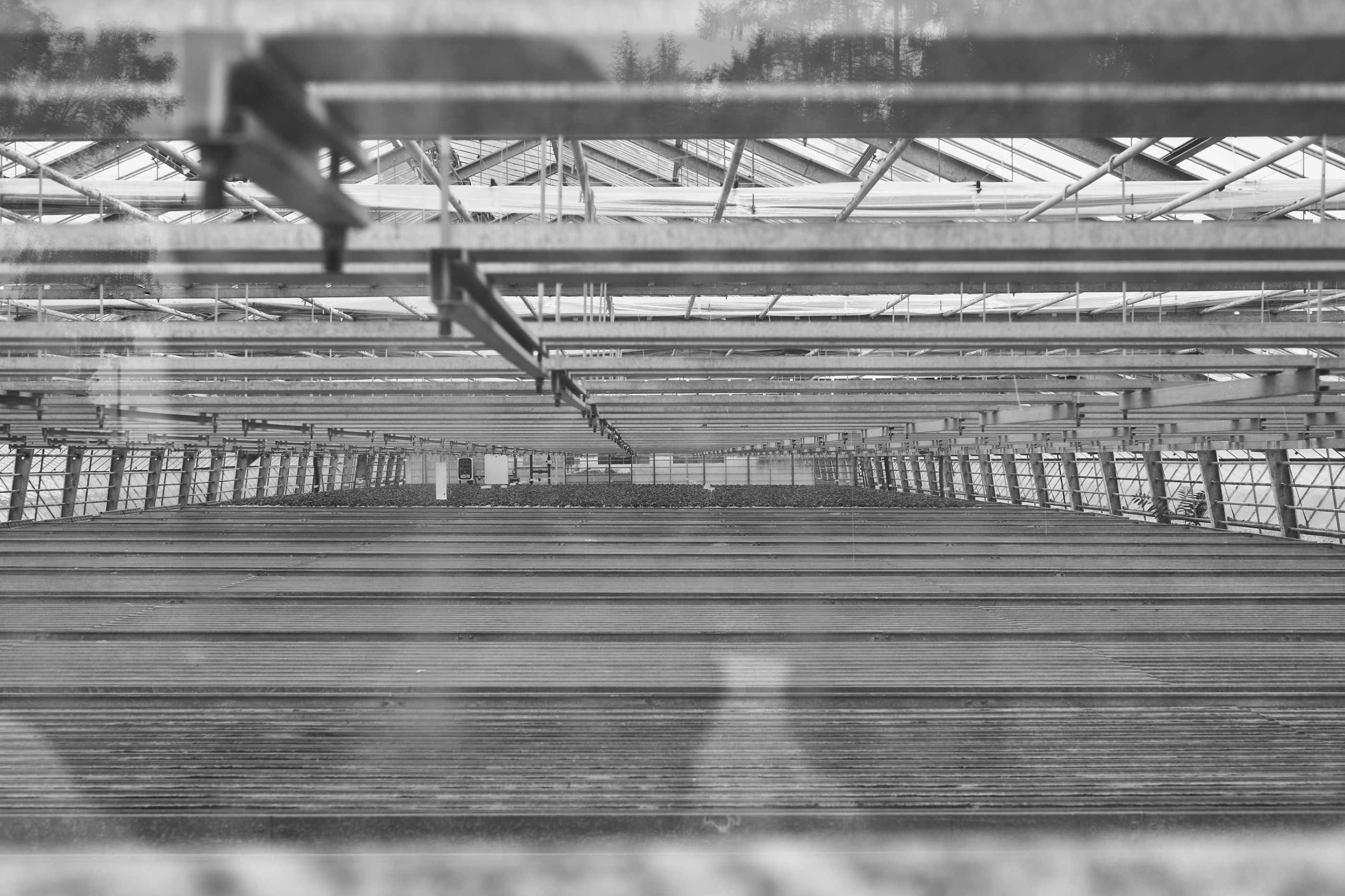 LEICA M11 Monochrom L1004439