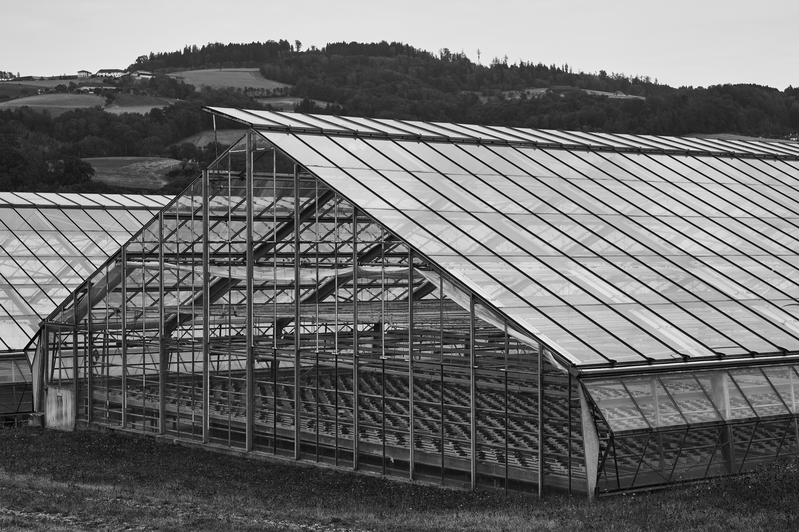 LEICA M11 Monochrom L1004440