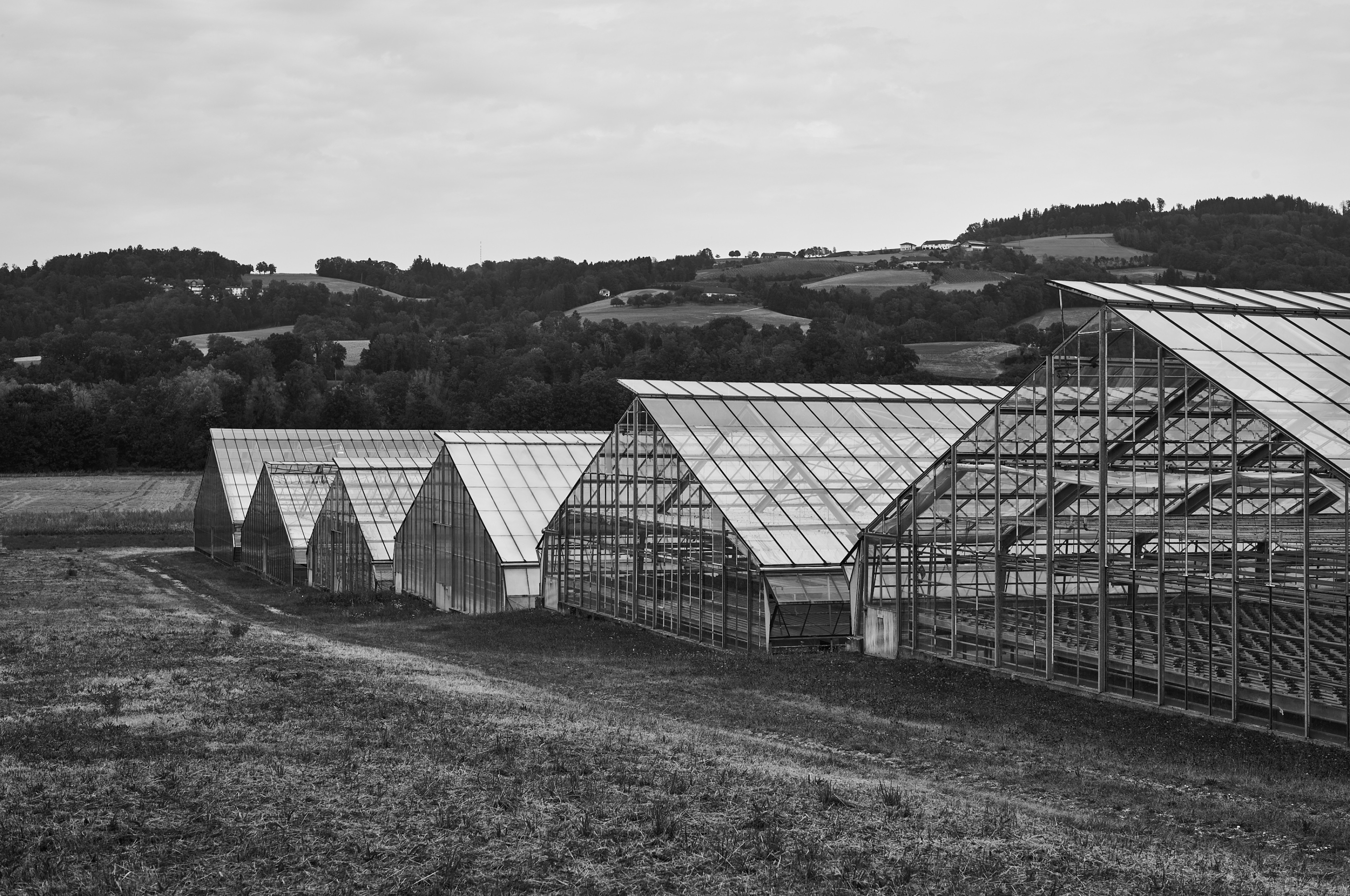 LEICA M11 Monochrom L1004441