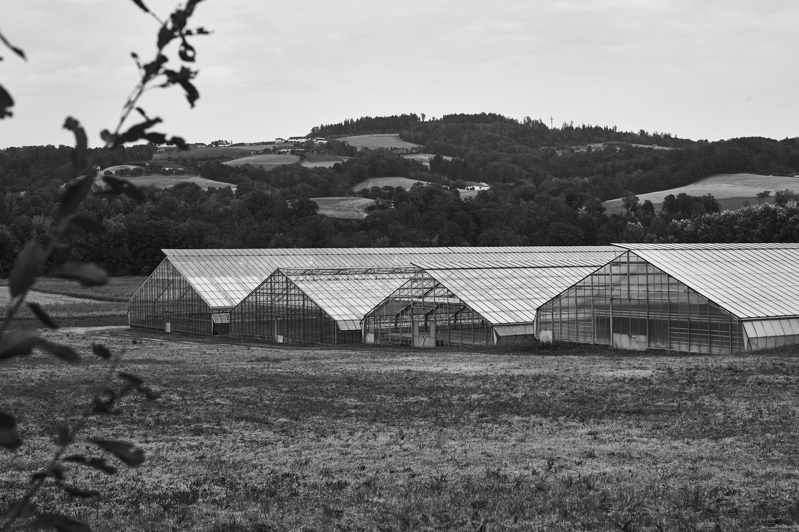 LEICA M11 Monochrom L1004443
