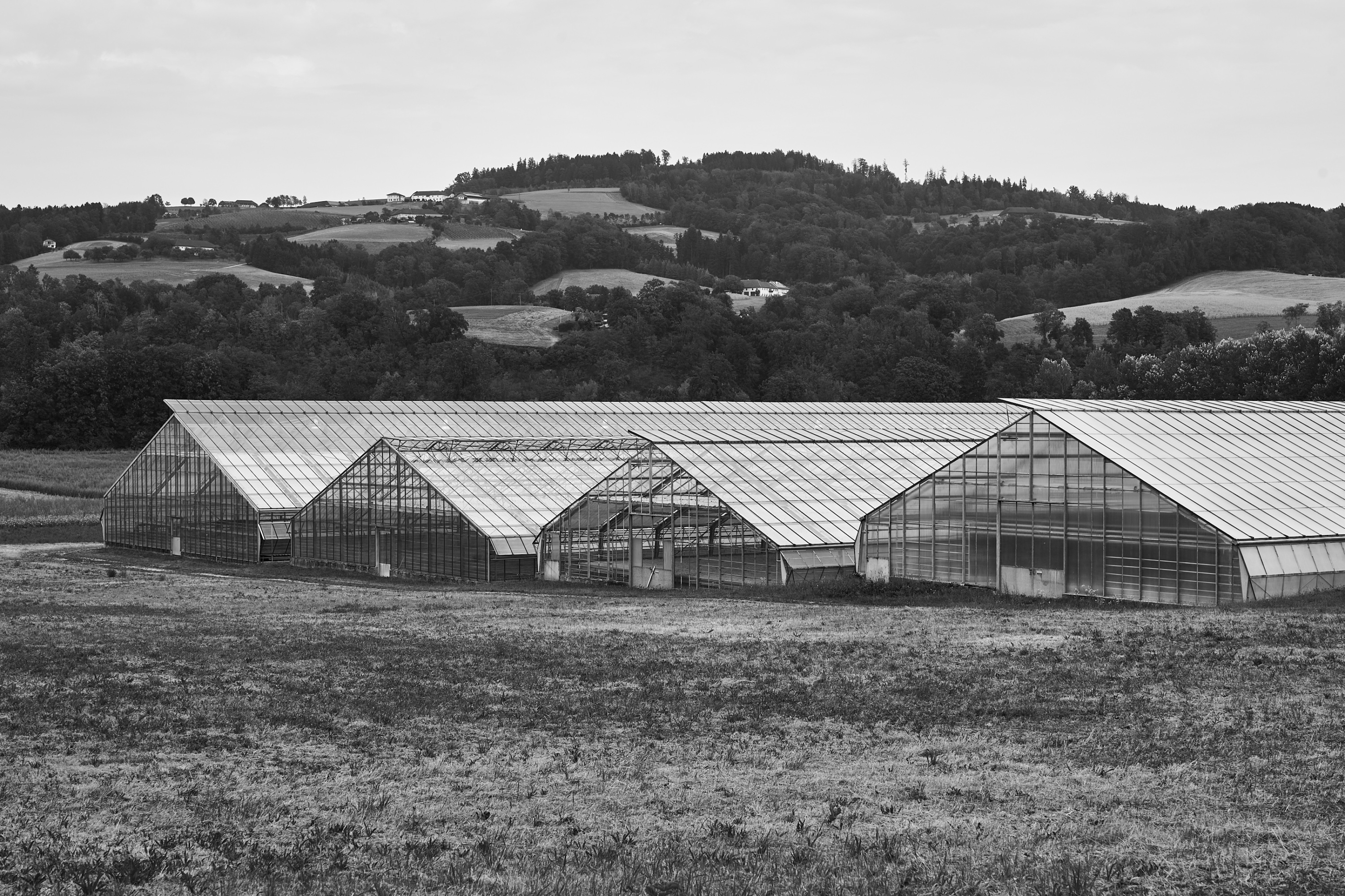 LEICA M11 Monochrom L1004444