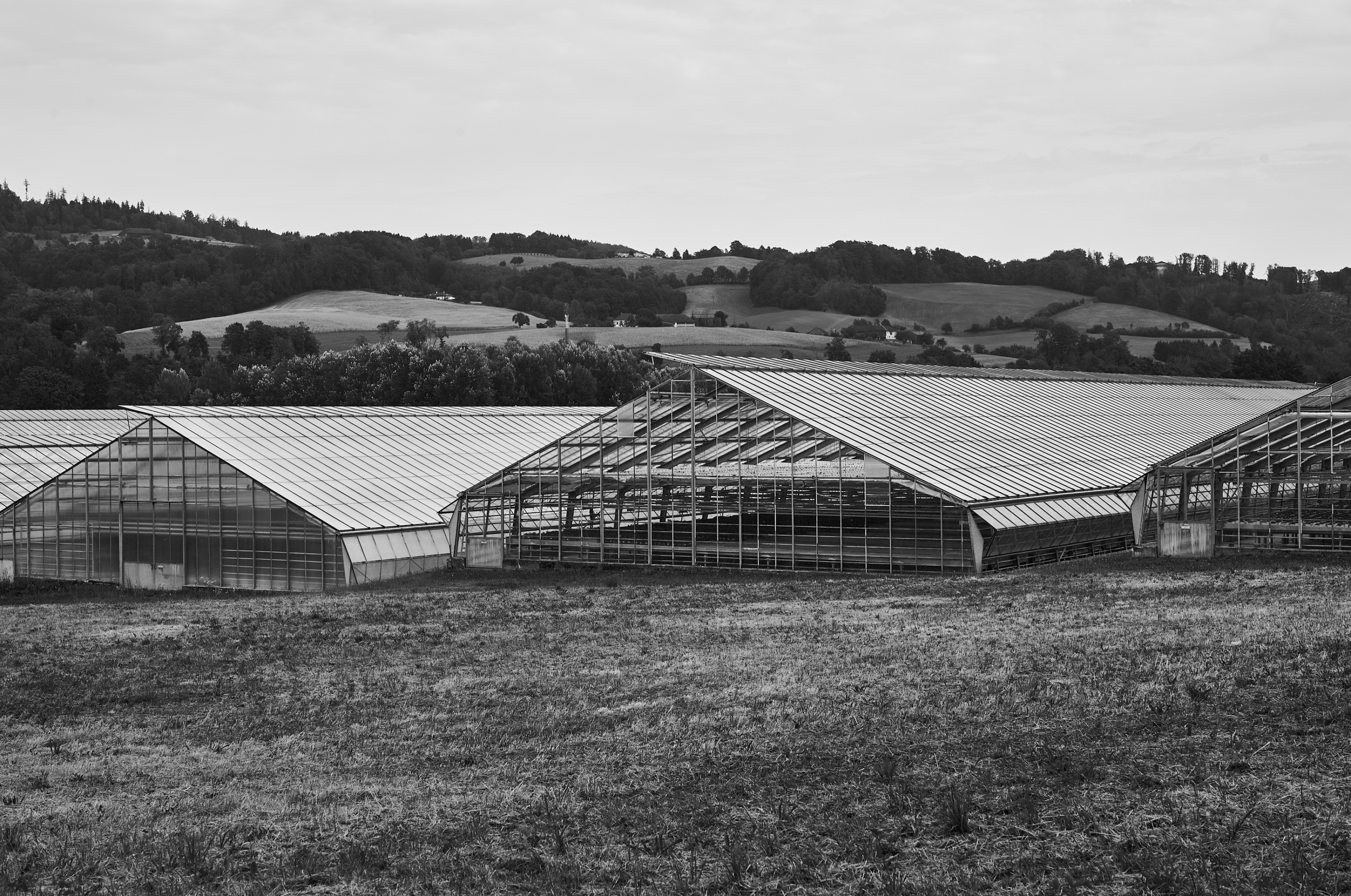 LEICA M11 Monochrom L1004445