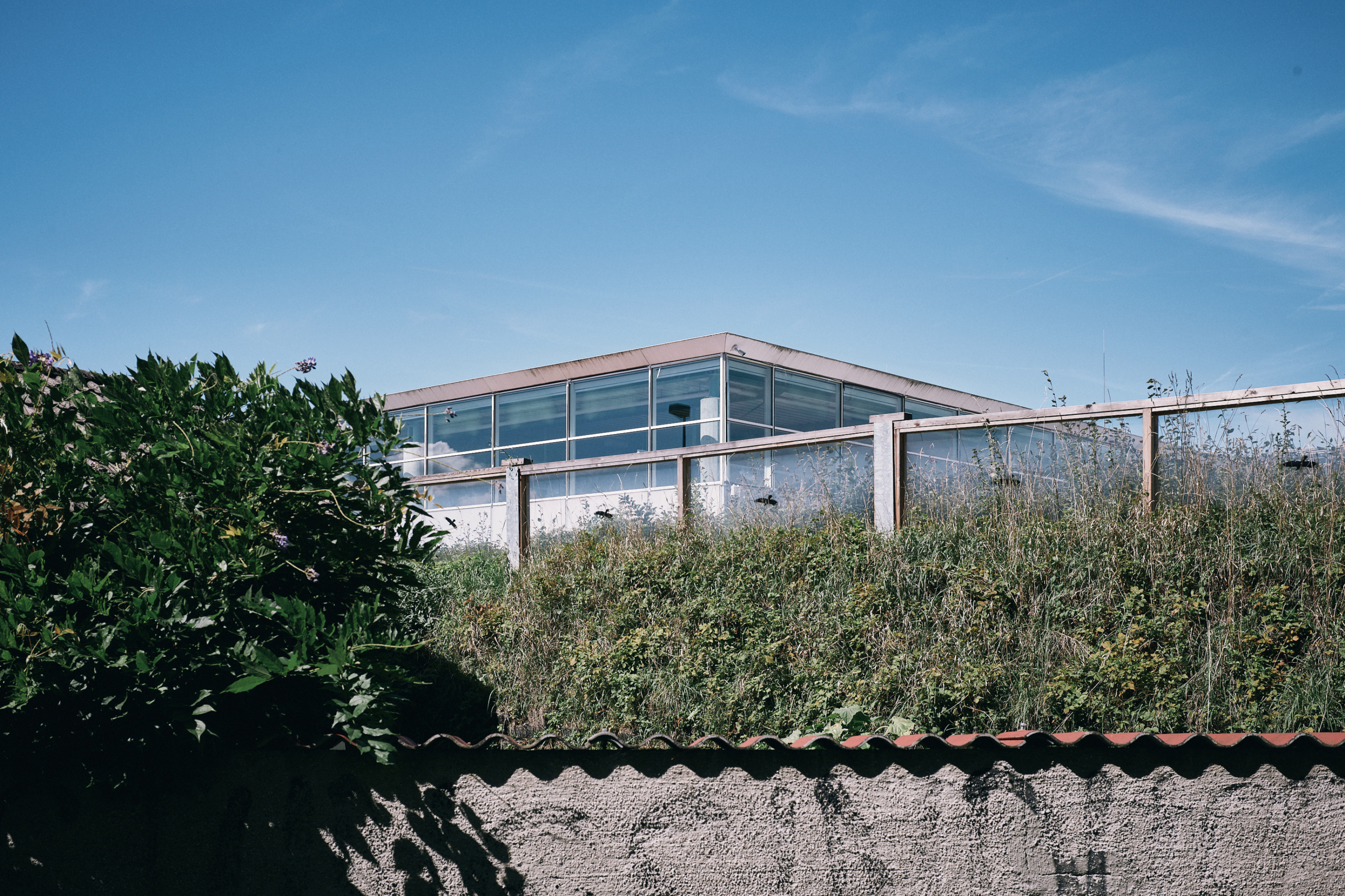 LEICA M11 P L1007630