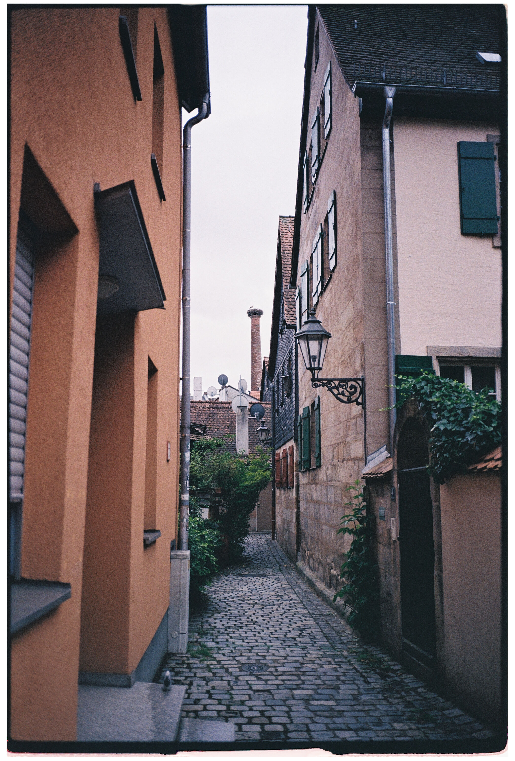 LEICA MP 000062