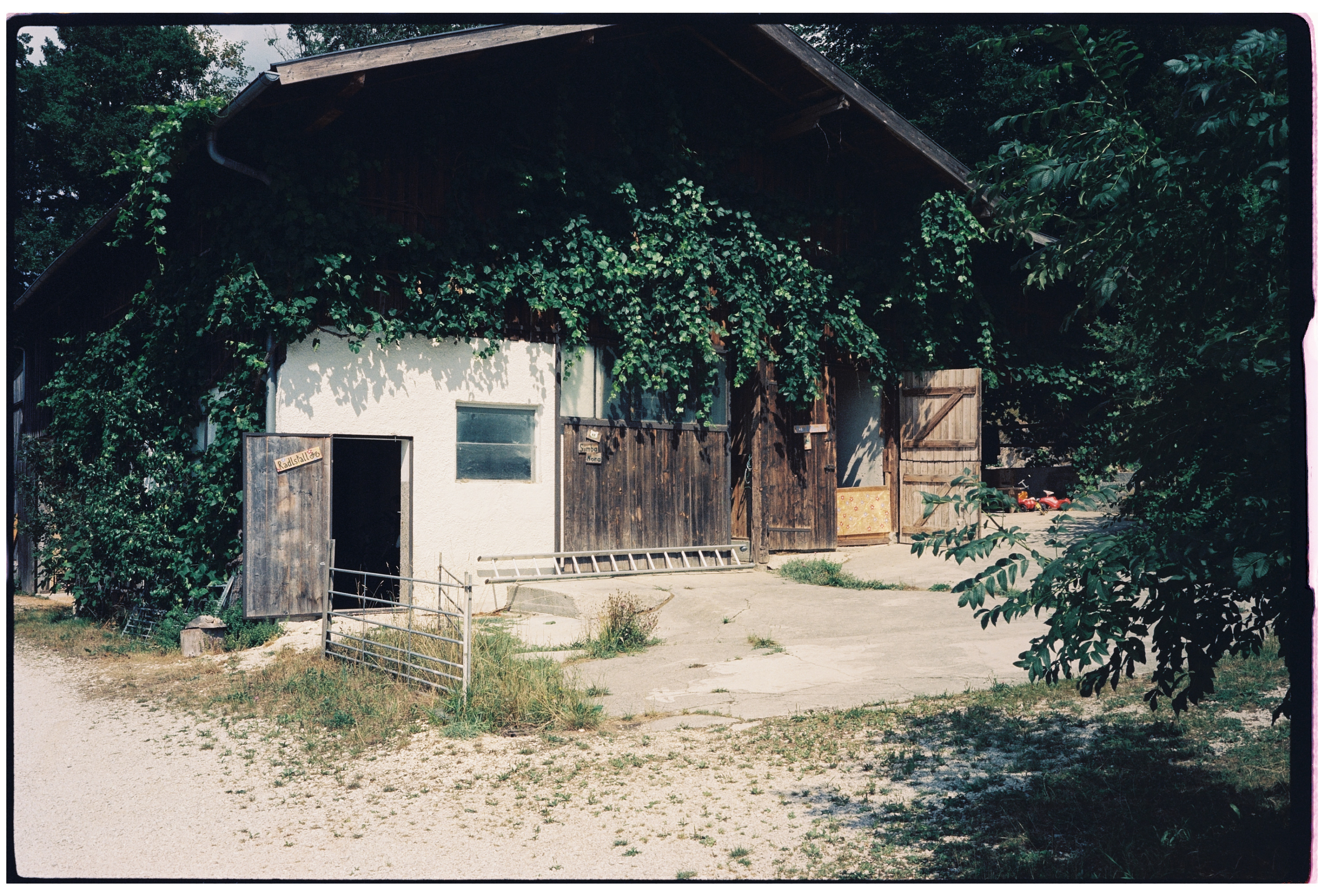 LEICA MP 000060