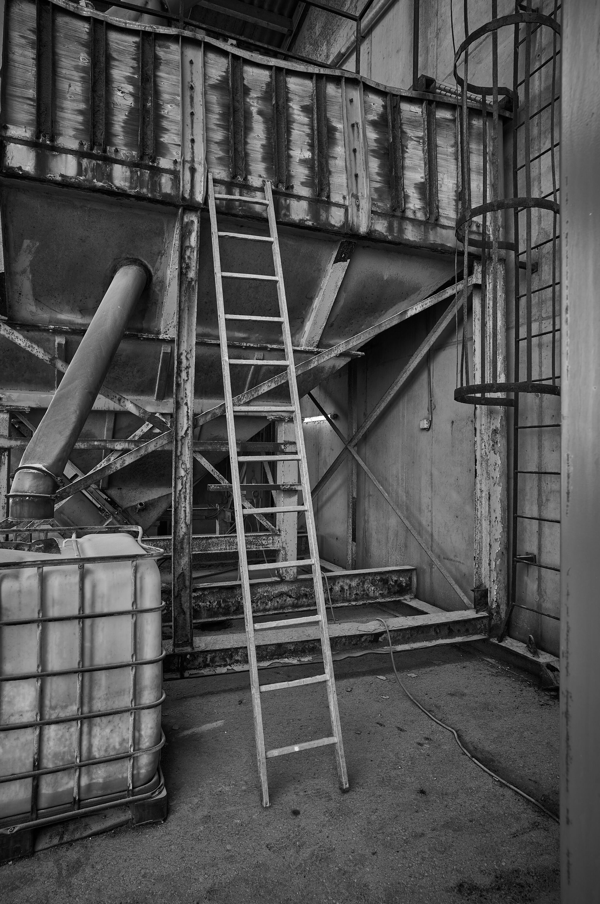 LEICA M11 Monochrom L1004569